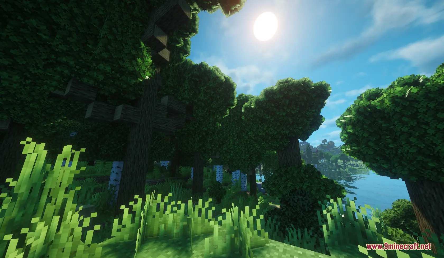 Folium Frond Expansion Mod Screenshot 8 Bright sunlight shining through thick bushy tree canopies in a lush Minecraft forest