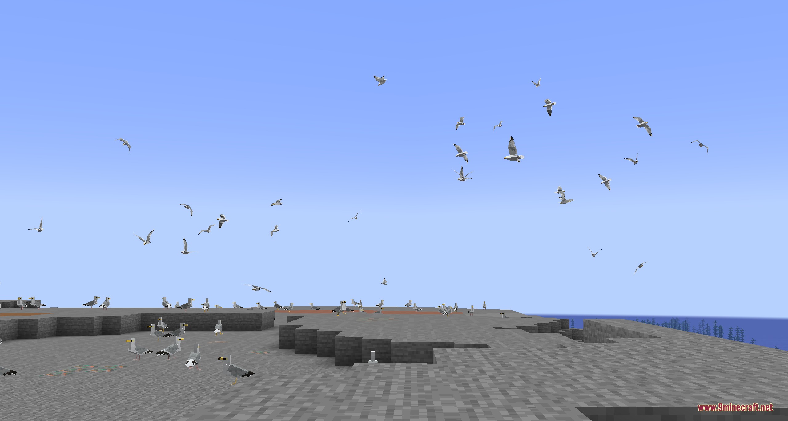 A large flock of seagulls flying and standing on a rocky shore