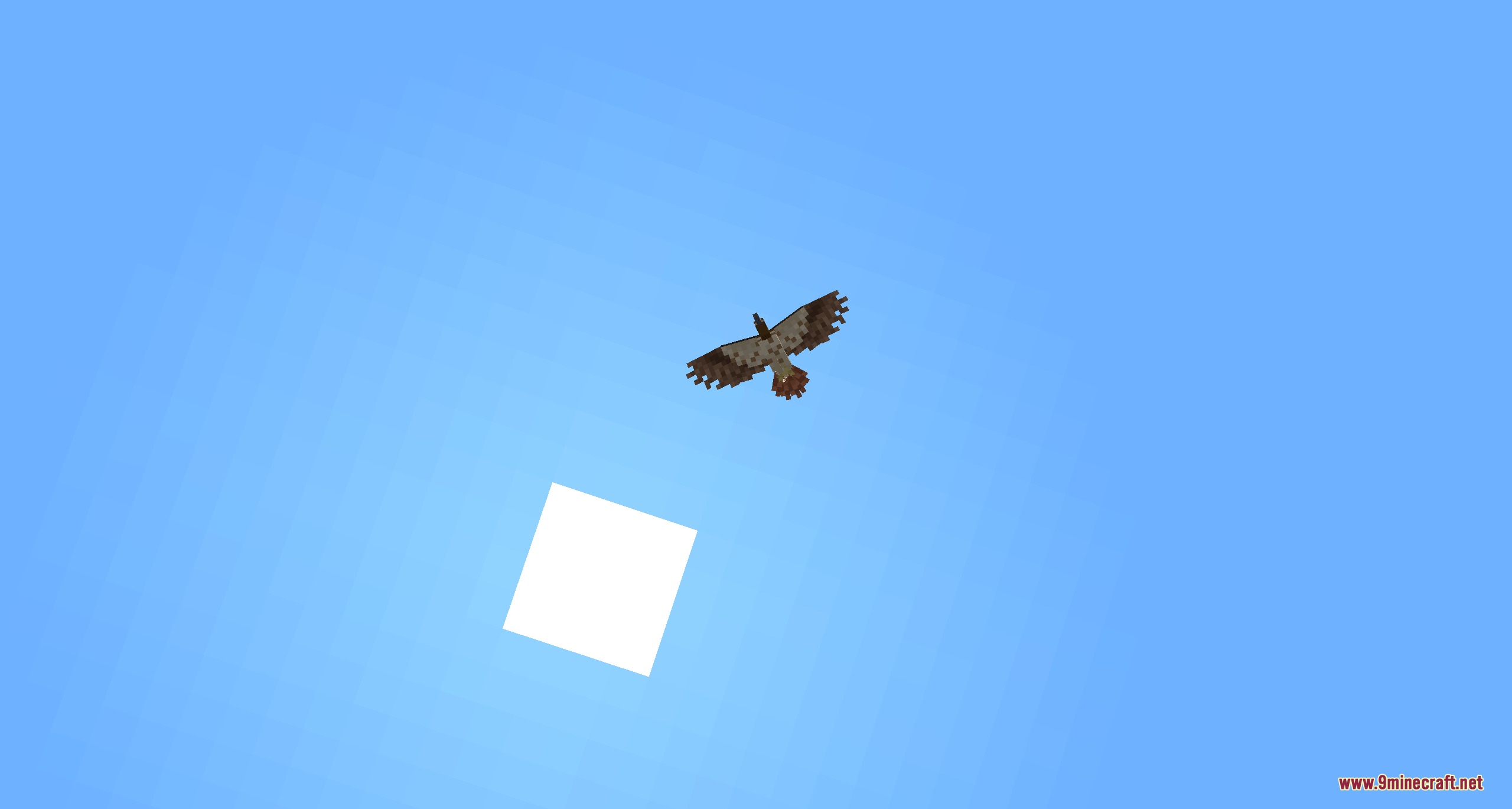 A red tailed hawk glides through the bright blue sky near the sun