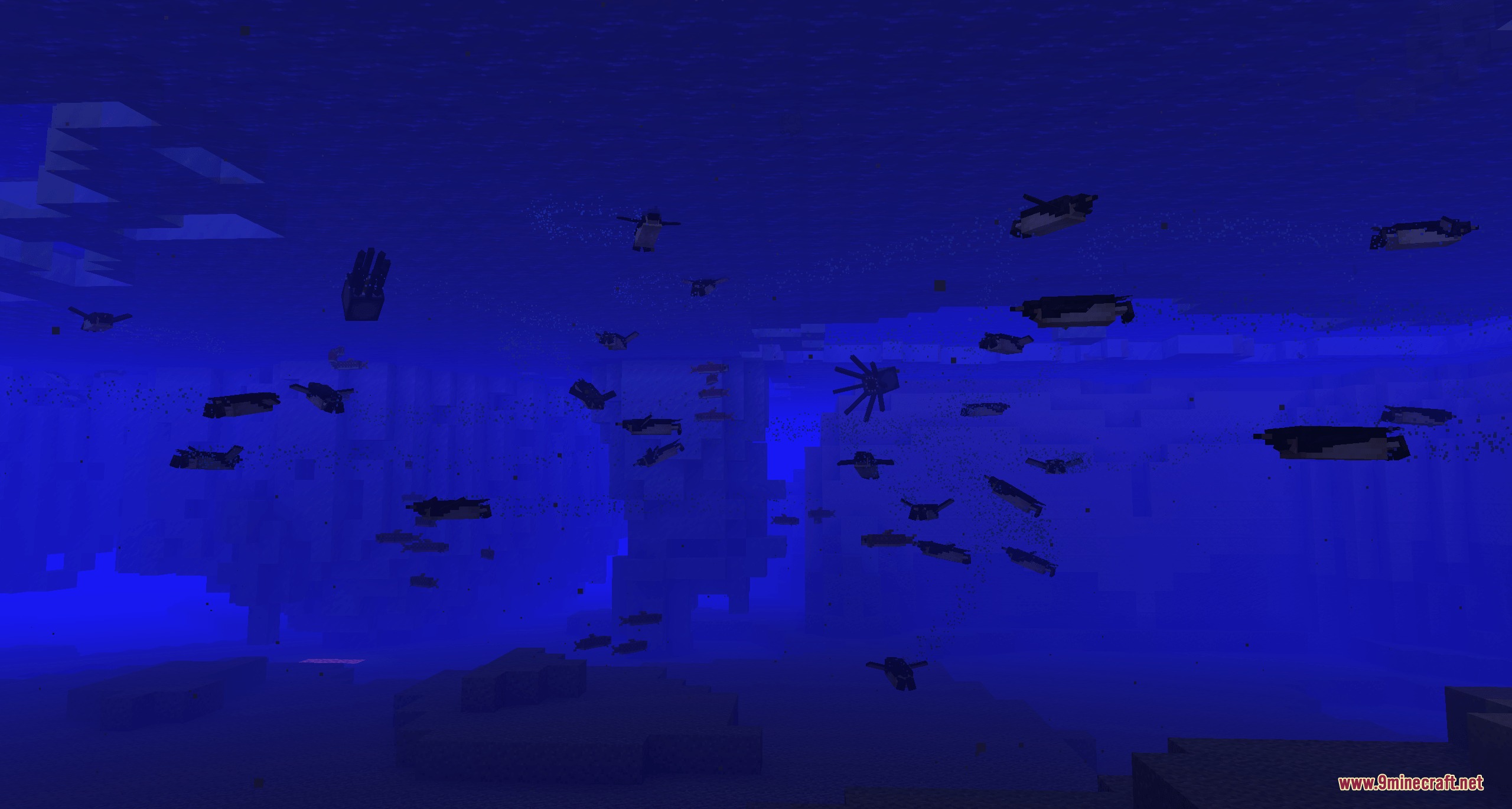 A group of Emperor penguins swimming underwater in a deep blue ocean