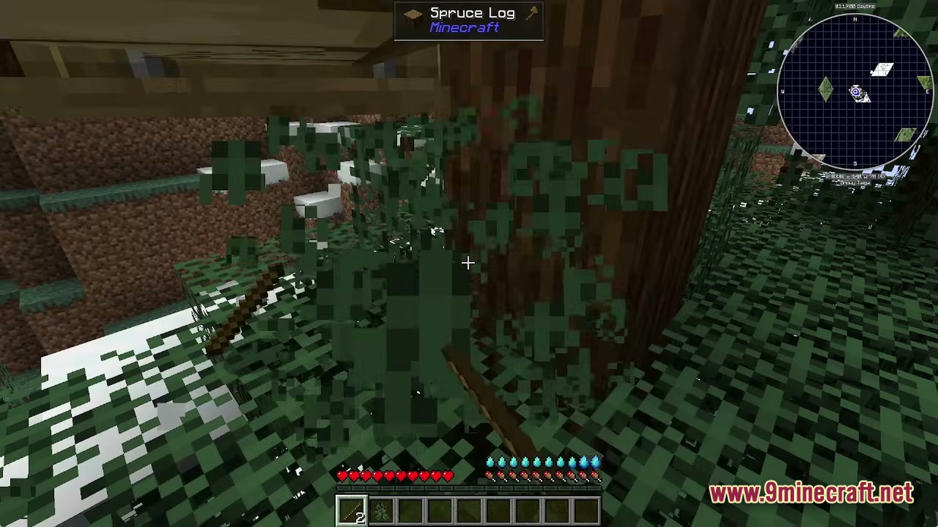 A player breaks spruce leaves in a snowy taiga biome while holding a wooden stick