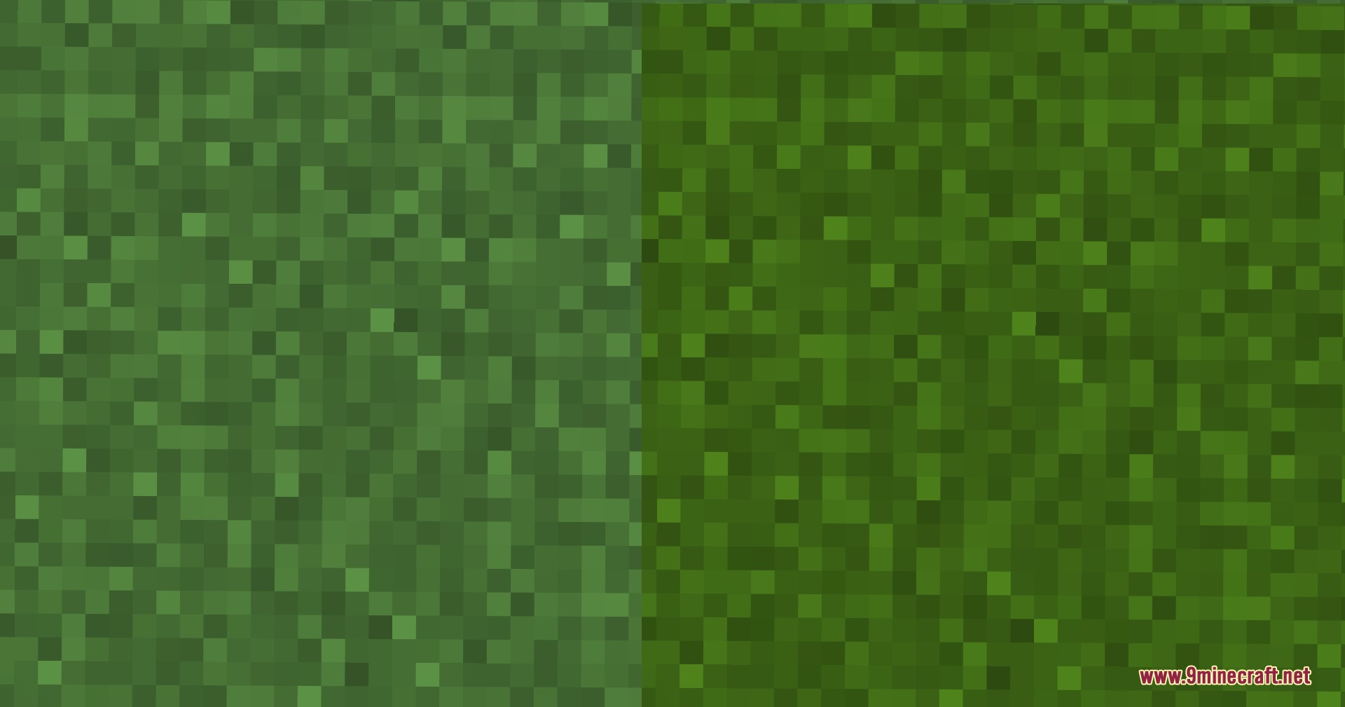 Fresh Grass Better Colormap Resource Pack Screenshot 1 Comparison showing the difference between old and new green grass block textures