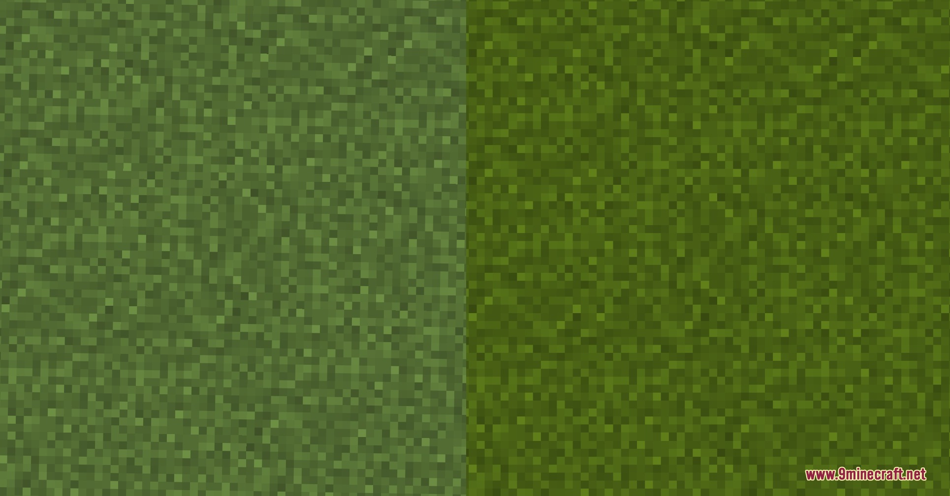 Fresh Grass Better Colormap Resource Pack Screenshot 3 Comparison of vanilla grass and Fresh Grass Better Colormap resource pack textures