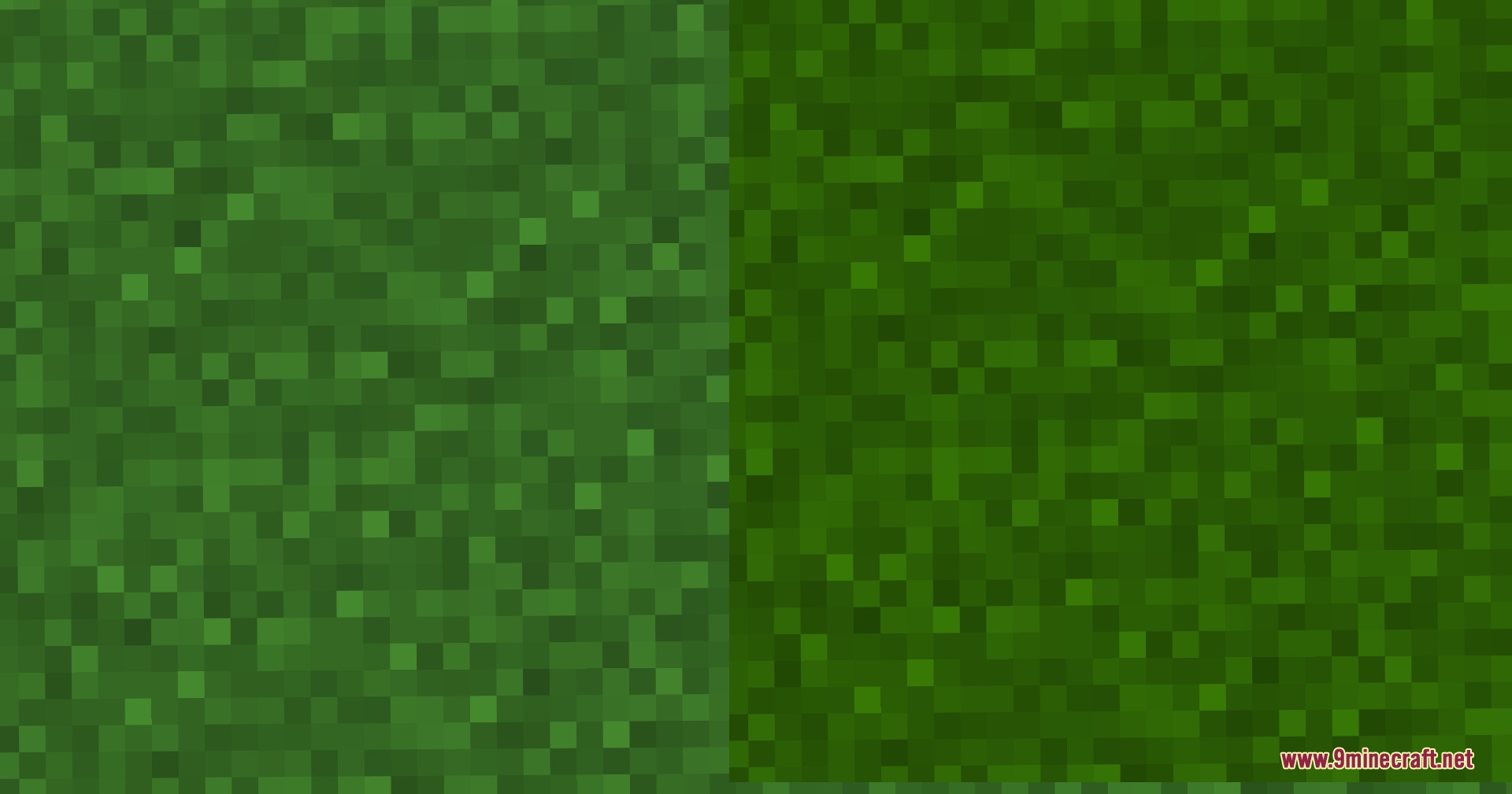 Fresh Grass Better Colormap Resource Pack Screenshot 4 Close up view of the refreshed green tones for Minecraft grass blocks