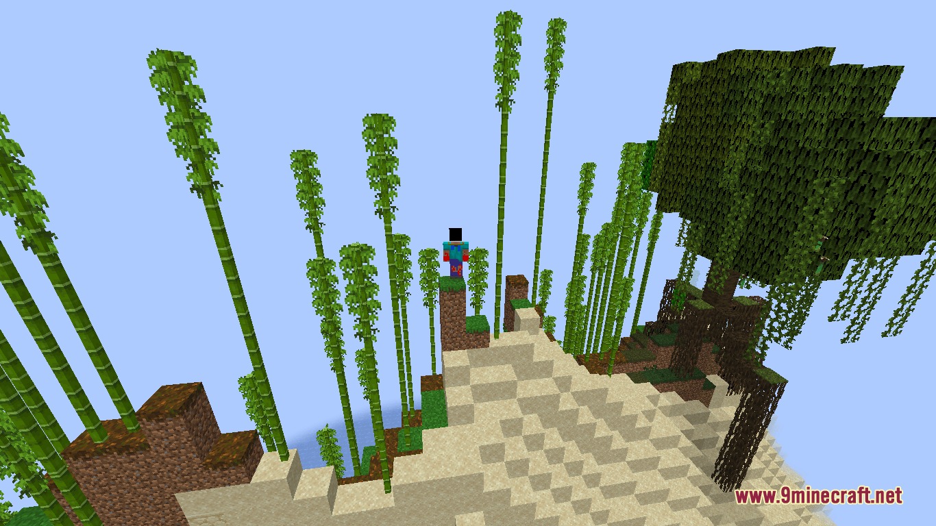 Fun Aether Mod Screenshot 4 A player stands on a dirt pillar in a bright bamboo forest biome