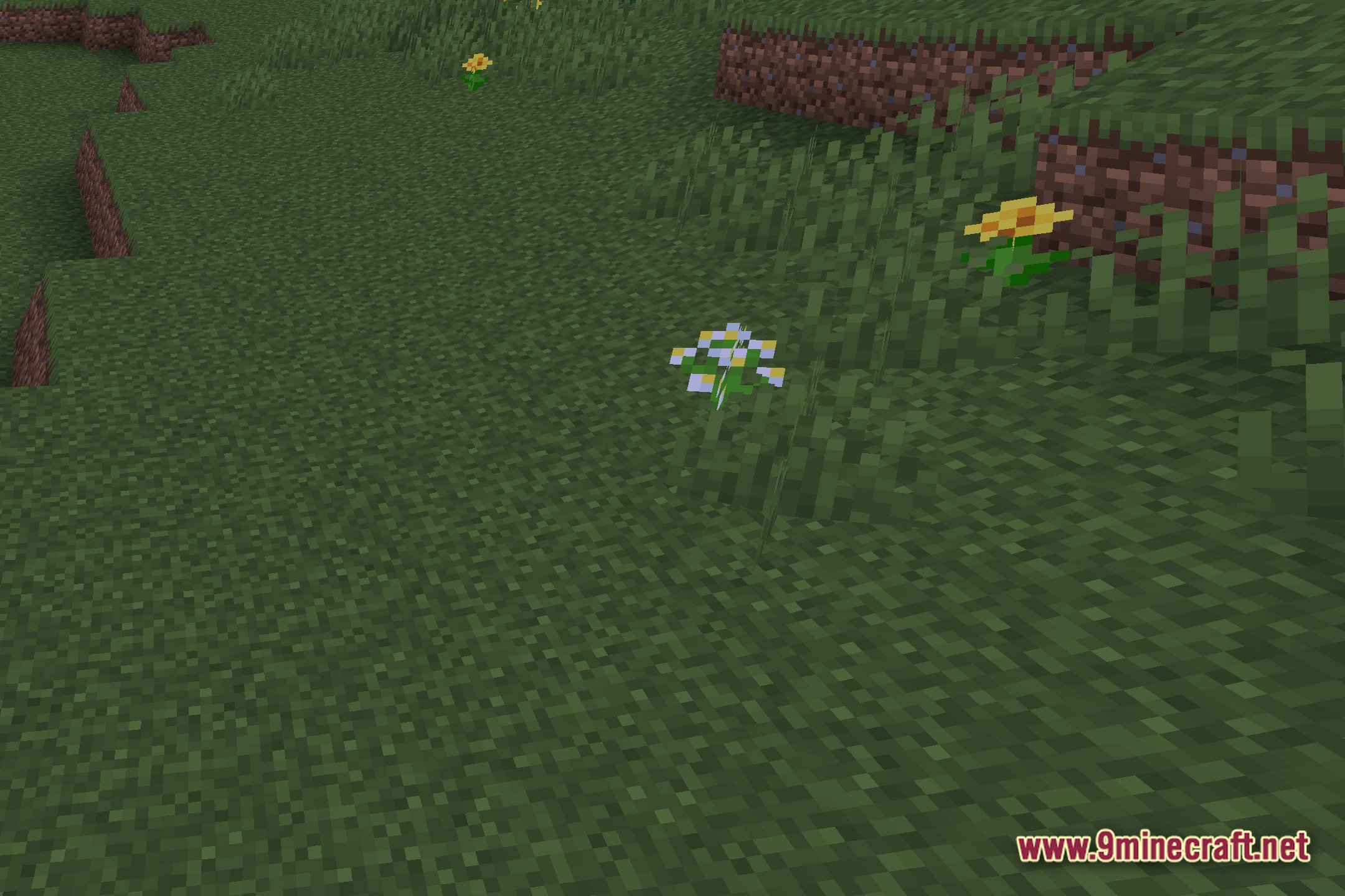 Globed Shaders Screenshot 11