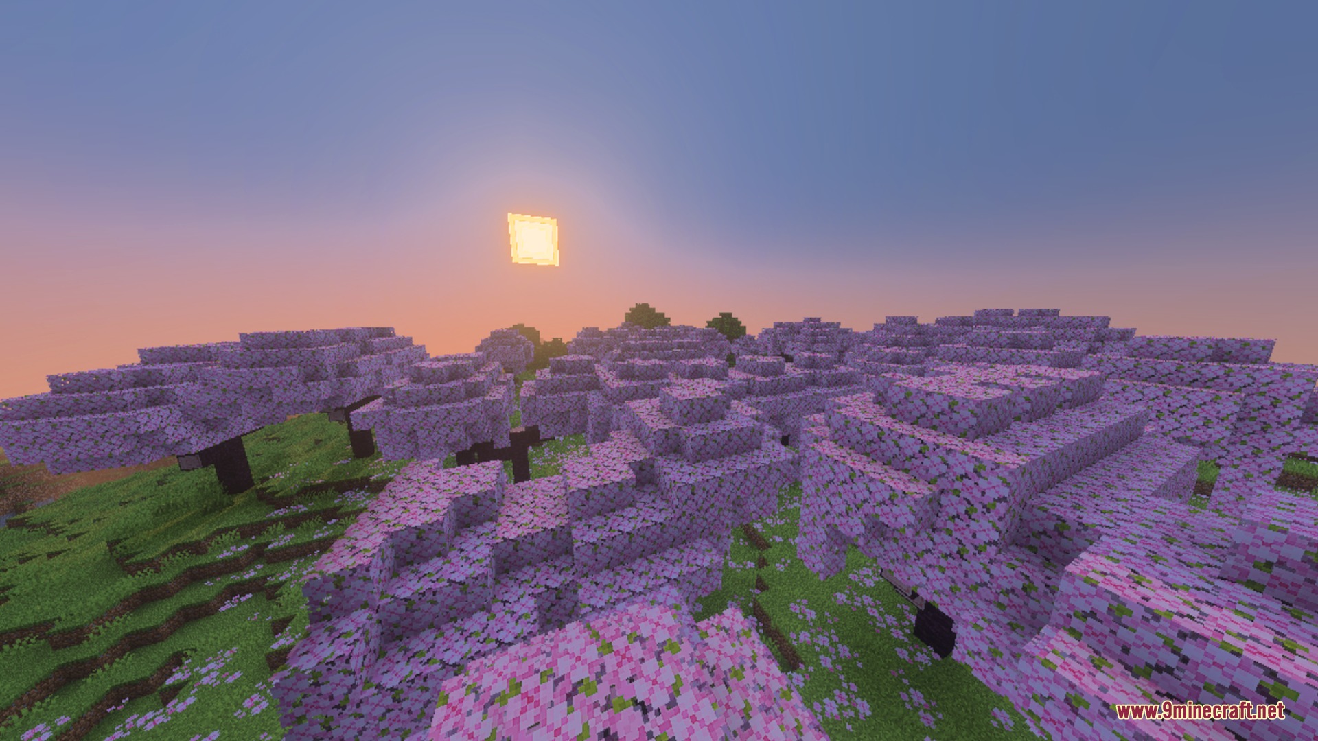 Glowing Ores Plus Shader Screenshot 2 A cherry blossom forest on a hill during a bright square sunset