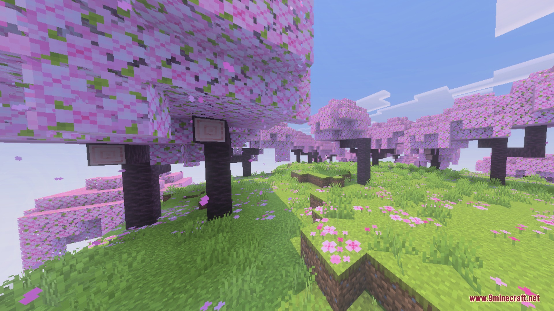 Beautiful cherry blossom grove with pink flowering trees and lush green grass