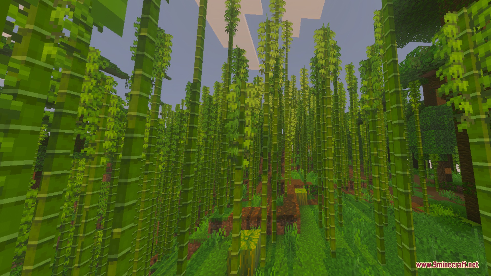 Tall green bamboo stalks growing in a dense jungle biome in Minecraft