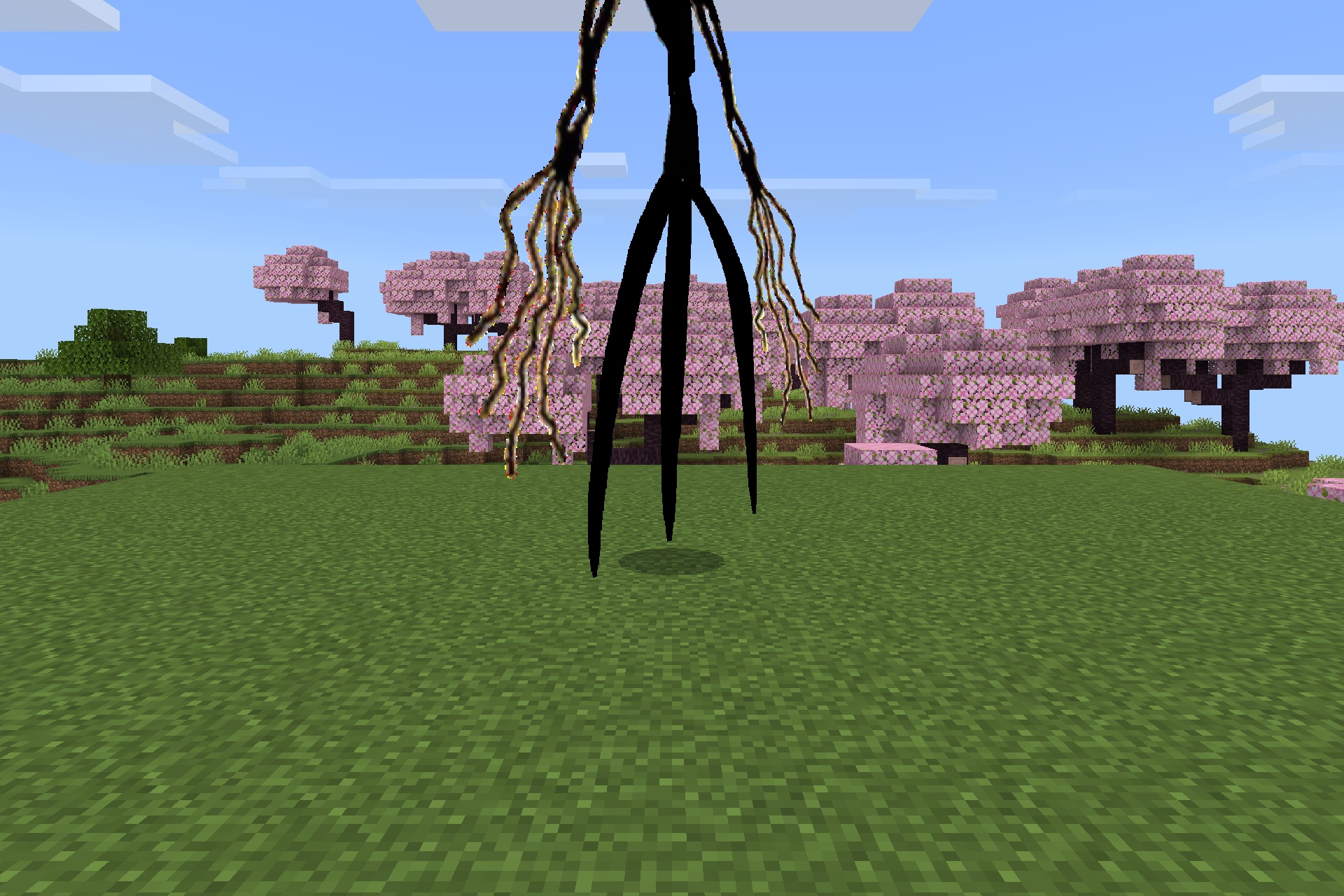 Goat Stalker Addon Screenshot 3 A tall black humanoid creature standing in a cherry blossom forest biome