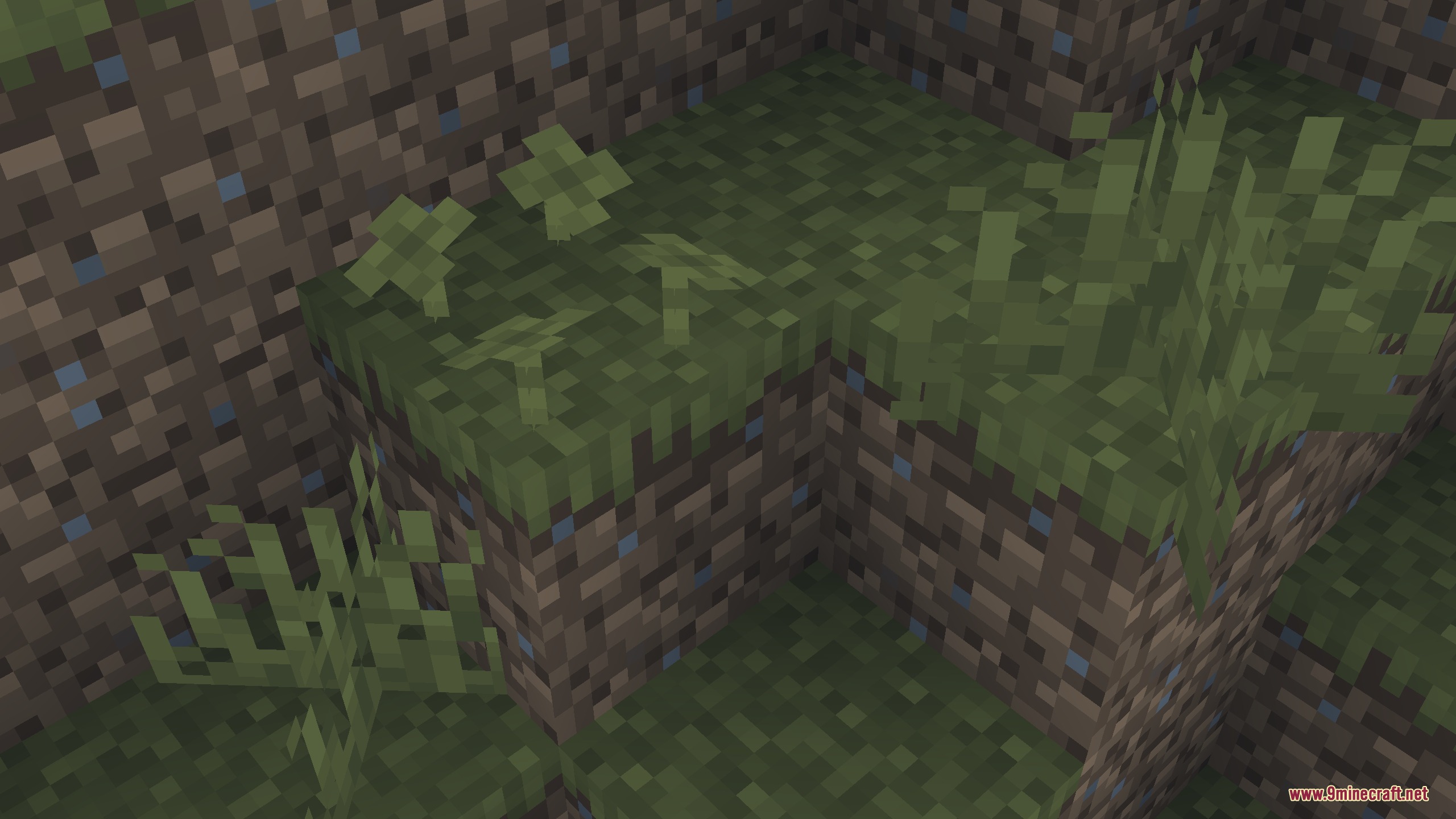 Grass Clovers Resource Pack adds small clover patches to standard grass blocks