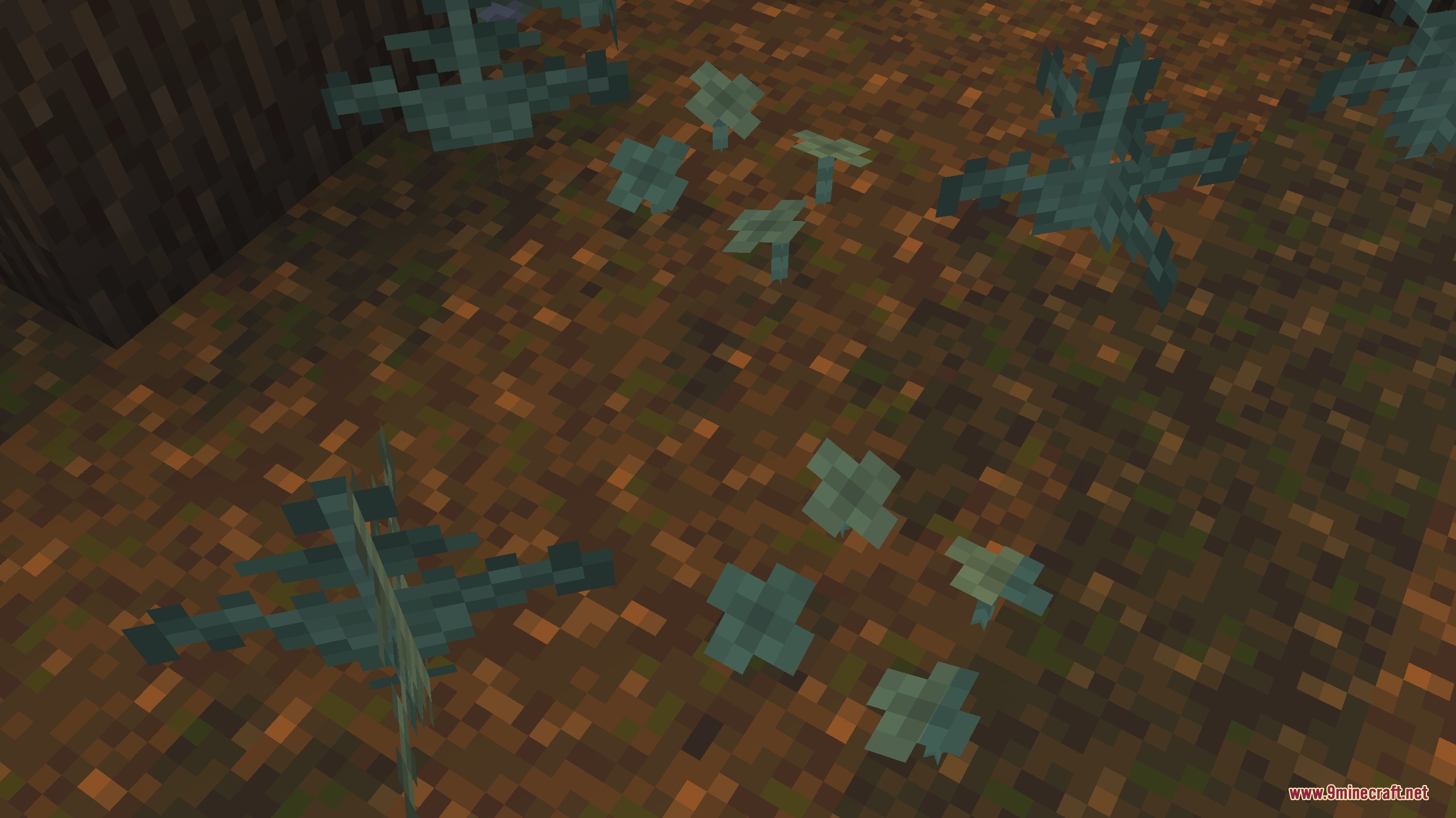 Clover variants and grass scattered across a brown forest floor texture