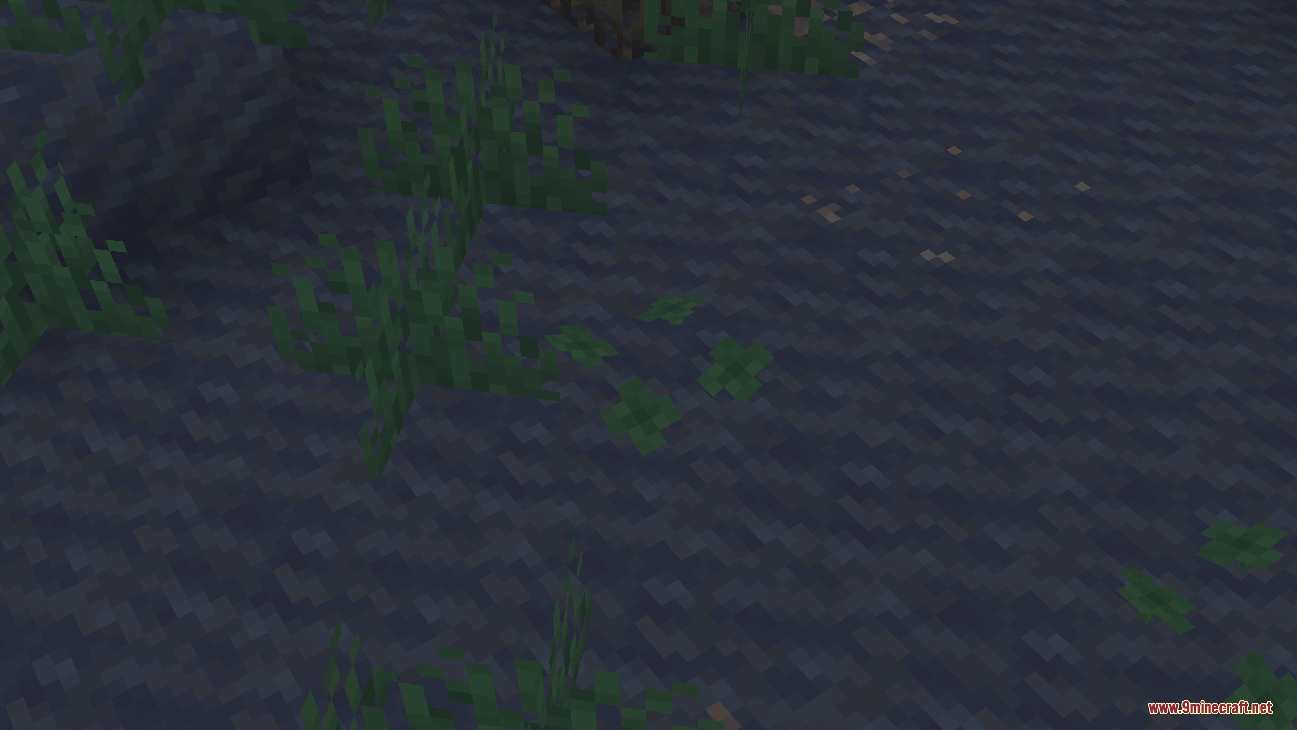 Small green clovers scattered across the dark ground in a Minecraft world