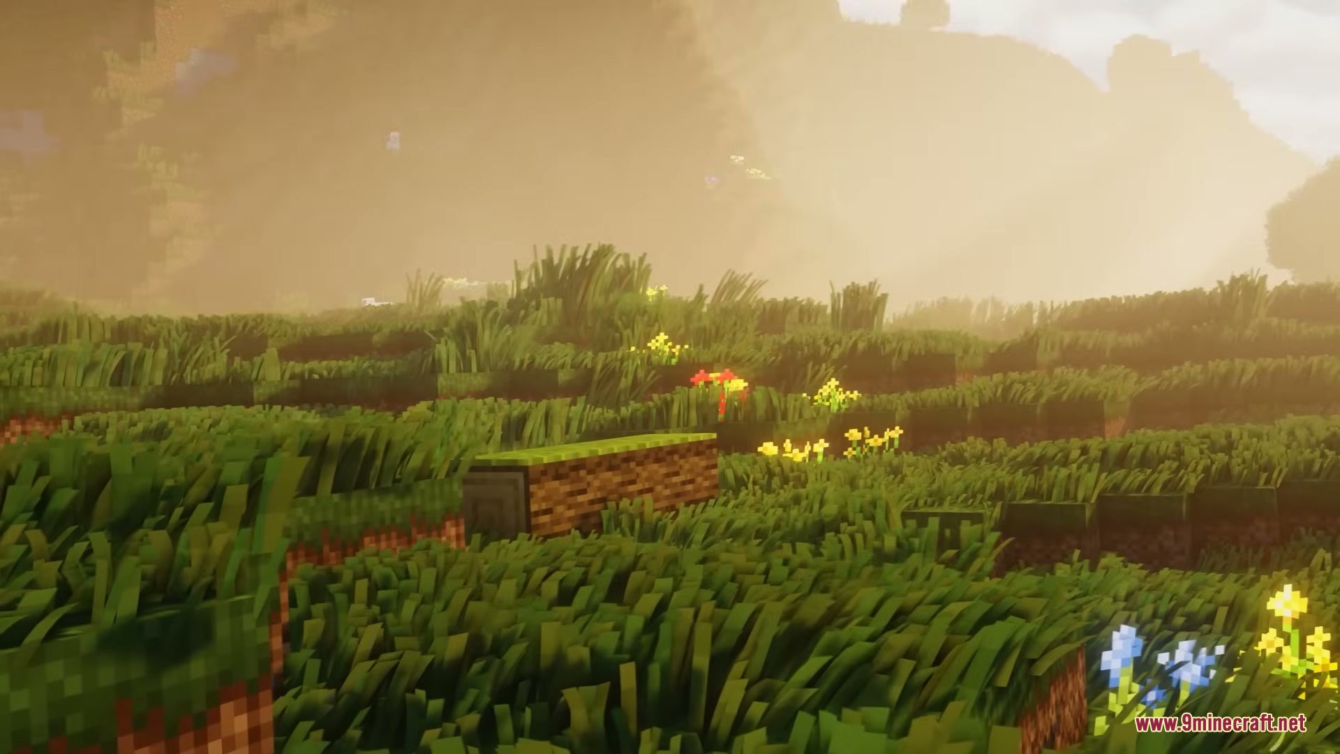 Grassier Grass Mod Screenshot 4 Lush green grass and flowers rippling in the wind during golden hour