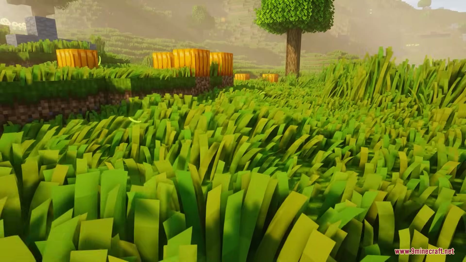 Grassier Grass Mod Screenshot 5 Detailed green grass blades swaying in a sunny Minecraft field with pumpkins