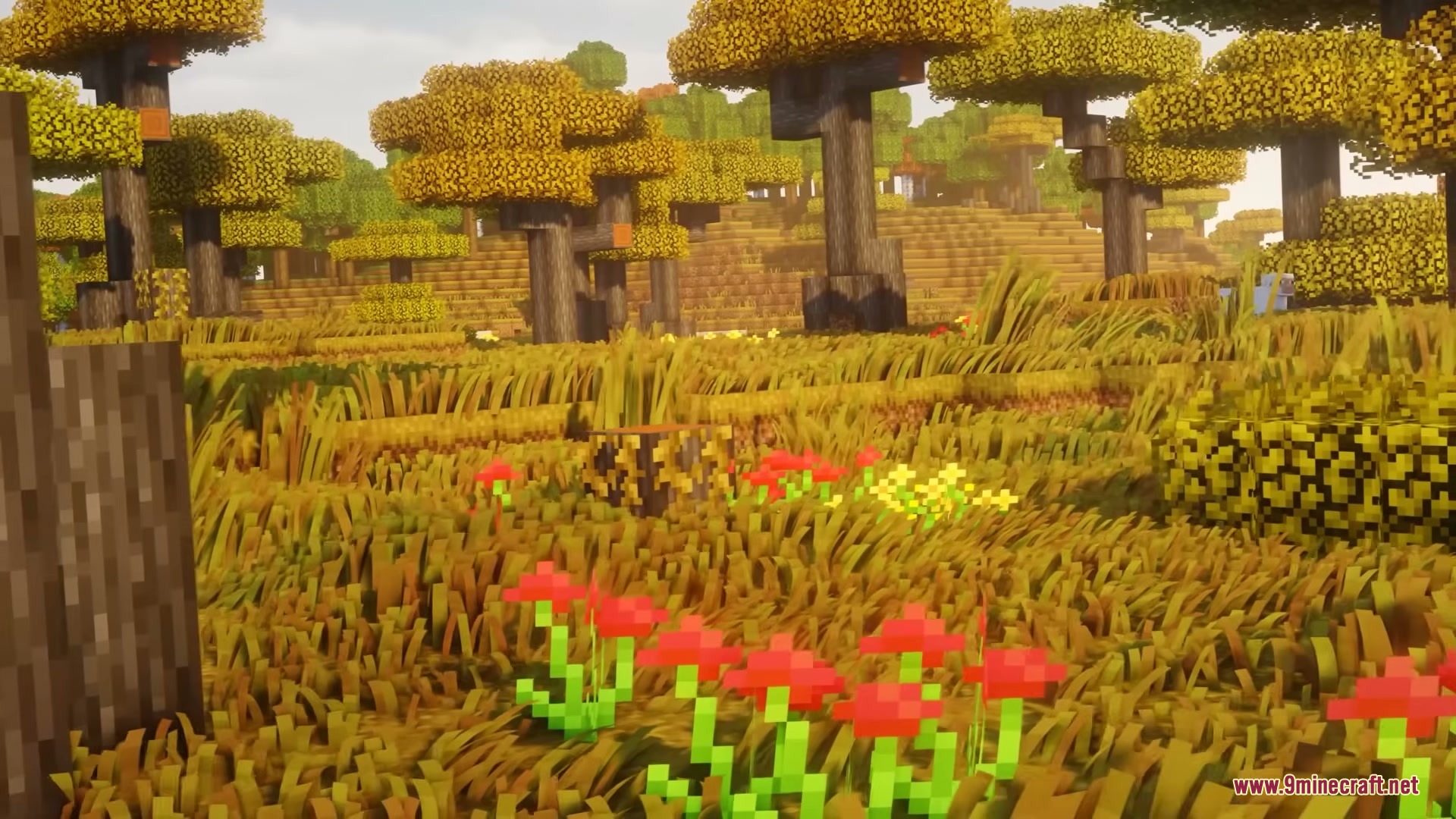 Grassier Grass Mod Screenshot 6 Red flowers blooming among tall golden grass in a vibrant autumn forest biome