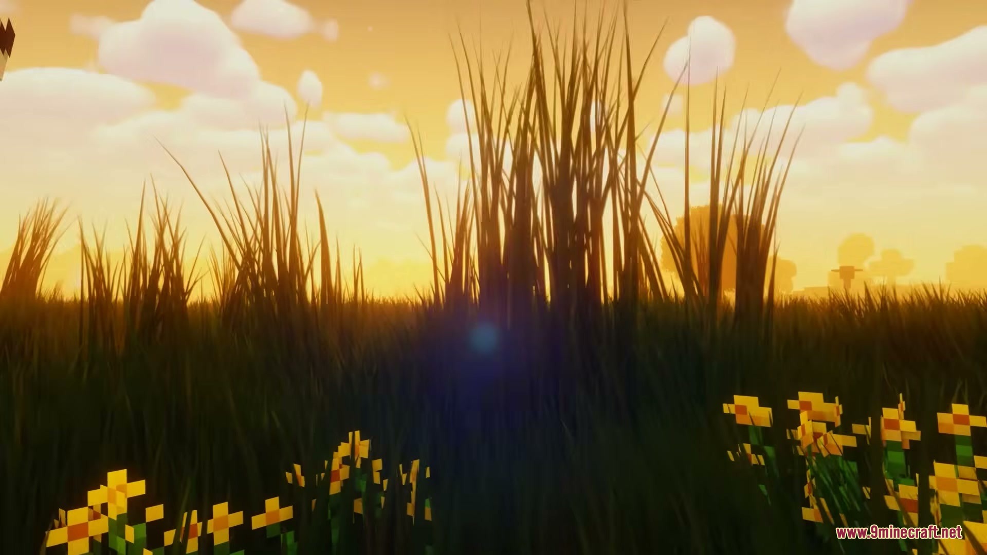Grassier Grass Mod Screenshot 7 Tall grass and yellow flowers swaying under a beautiful orange sunset sky