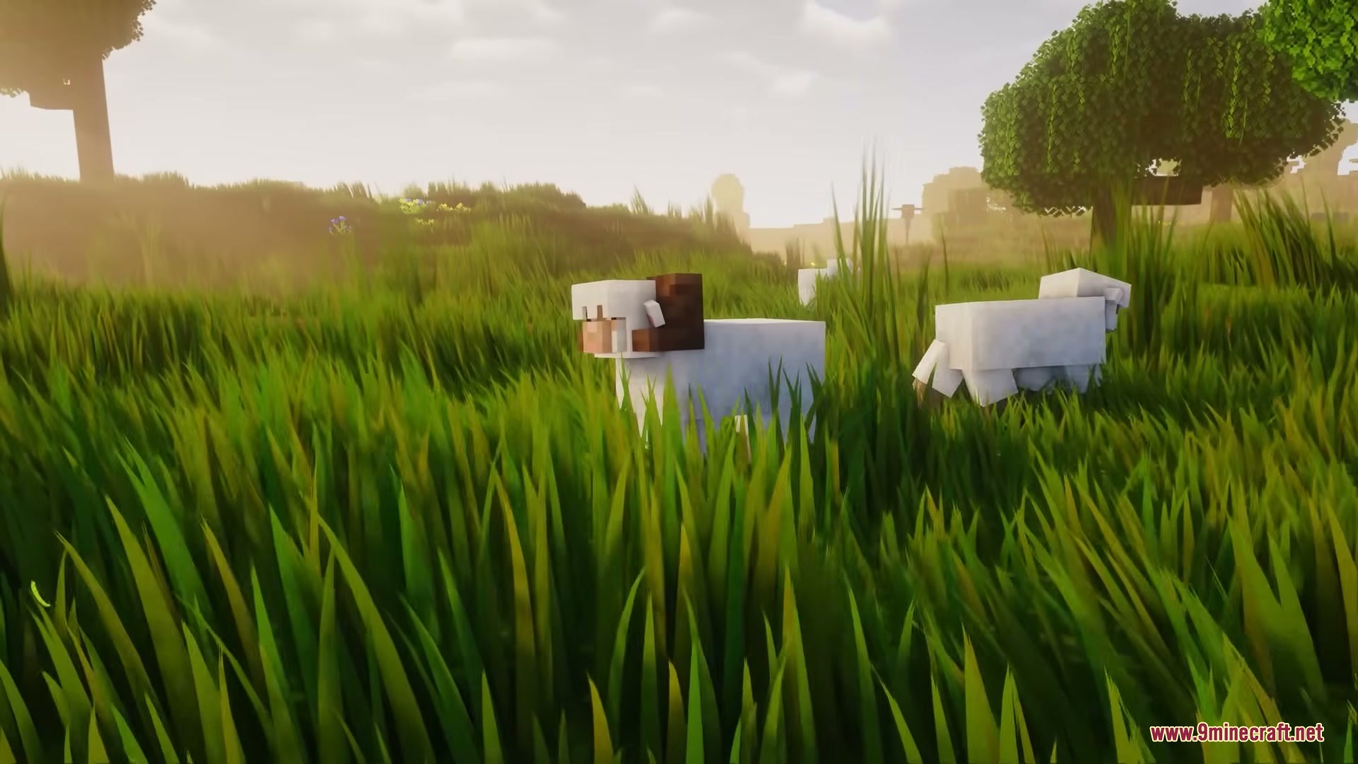 Grassier Grass Mod Screenshot 8 White sheep grazing in a lush field of tall swaying green grass