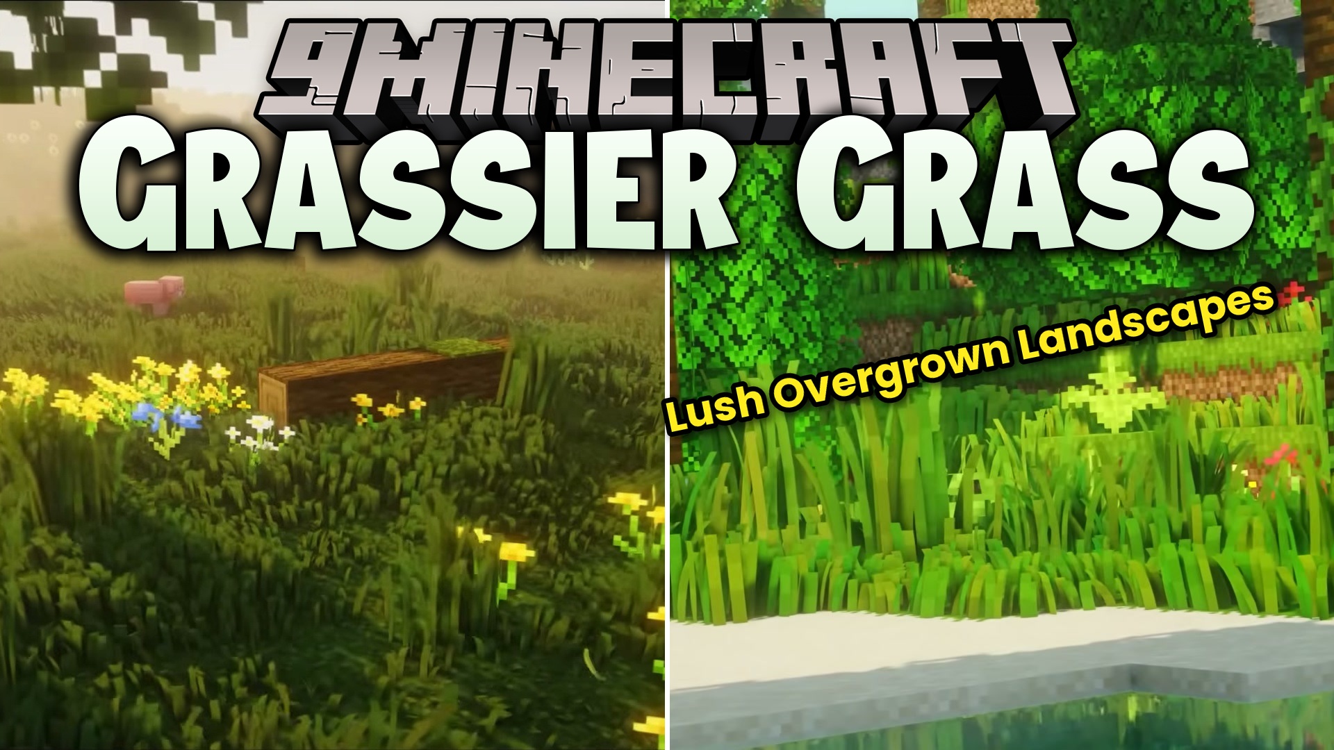 Grassier Grass Mod