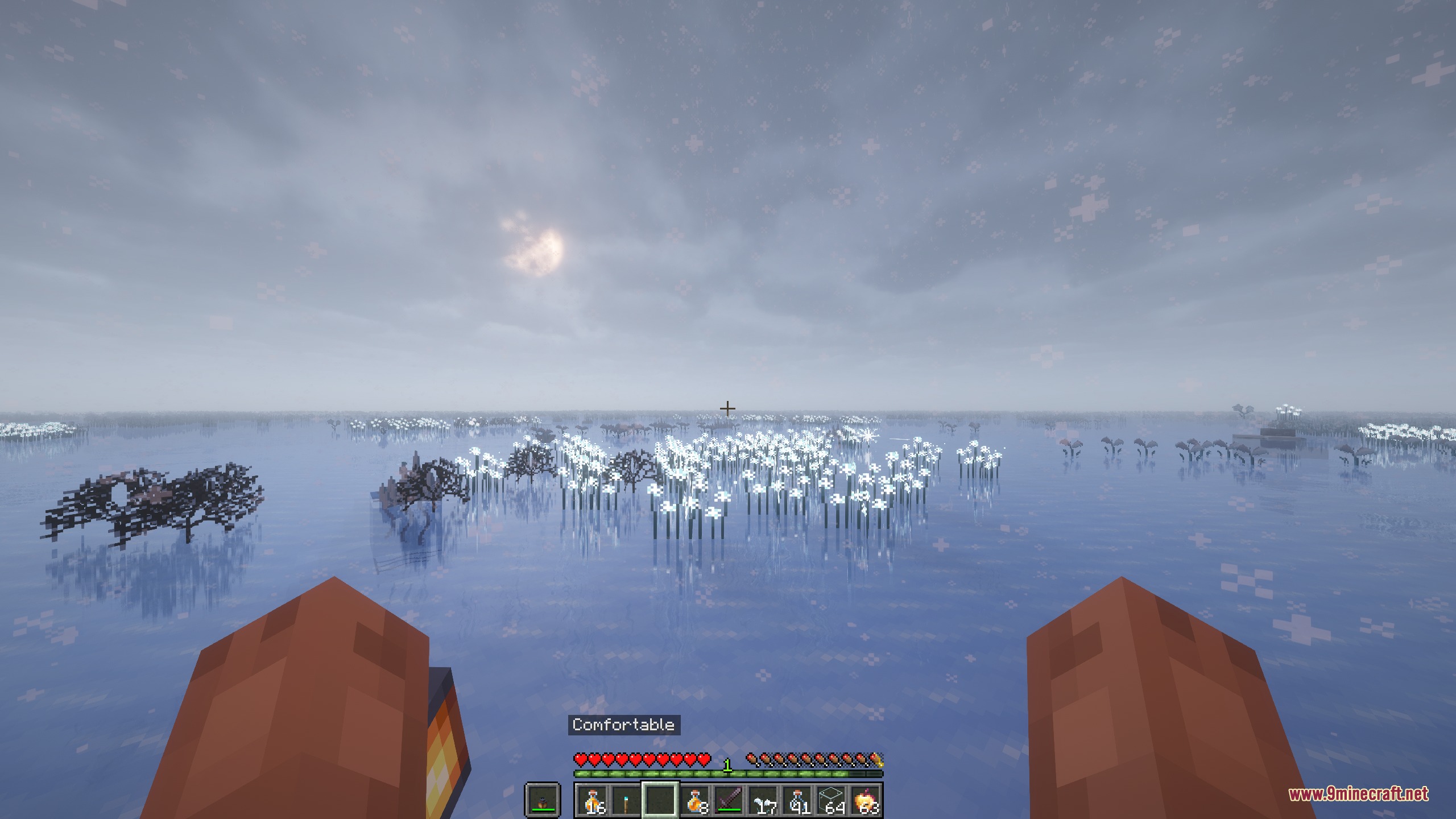 Player holding a special lantern overlooking a frozen lake with glowing plants