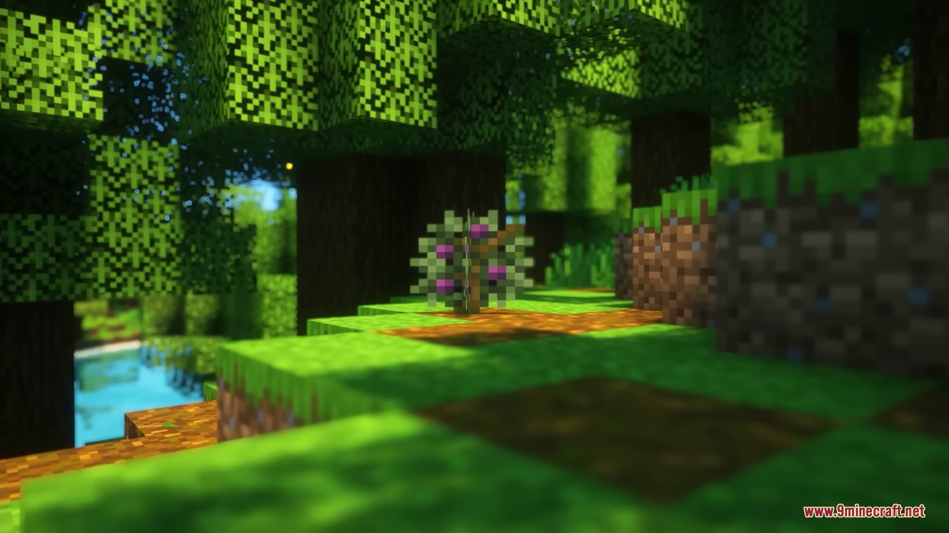 A small berry bush grows on a grassy hill in a dense forest