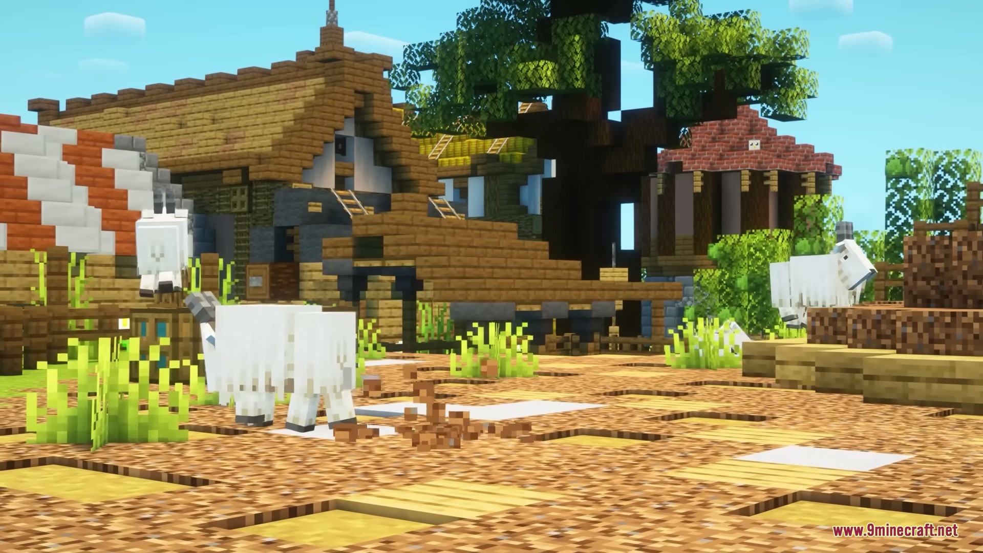 White goats roam around a farmyard with rustic wooden buildings and trees