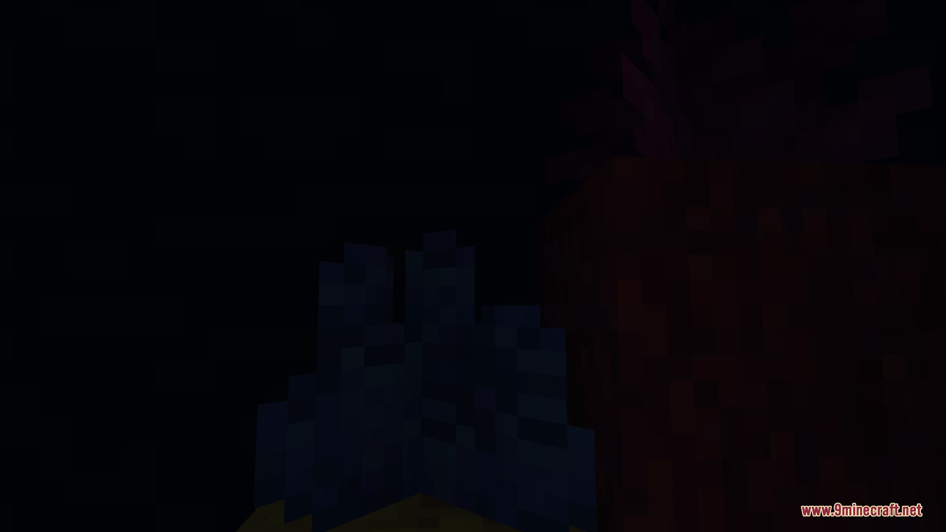 A dark view of coral plants at the bottom of the ocean