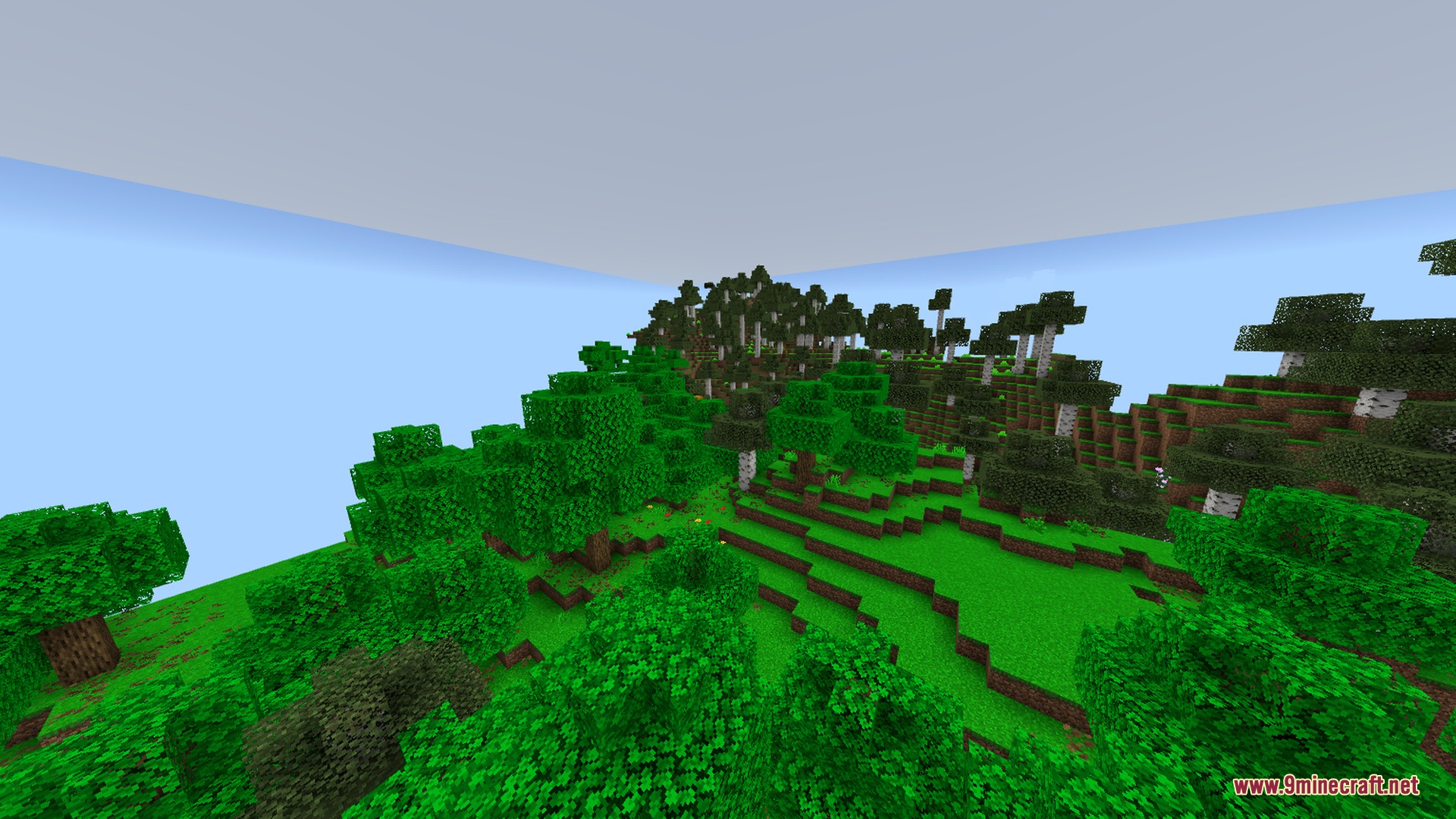 A dense forest biome with bright green grass and soft lighting on trees