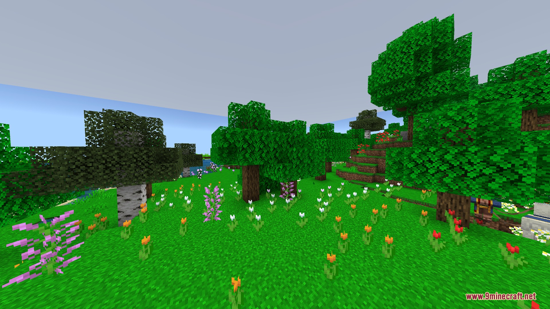 A vibrant flower forest with lush green grass and soft natural sunlight