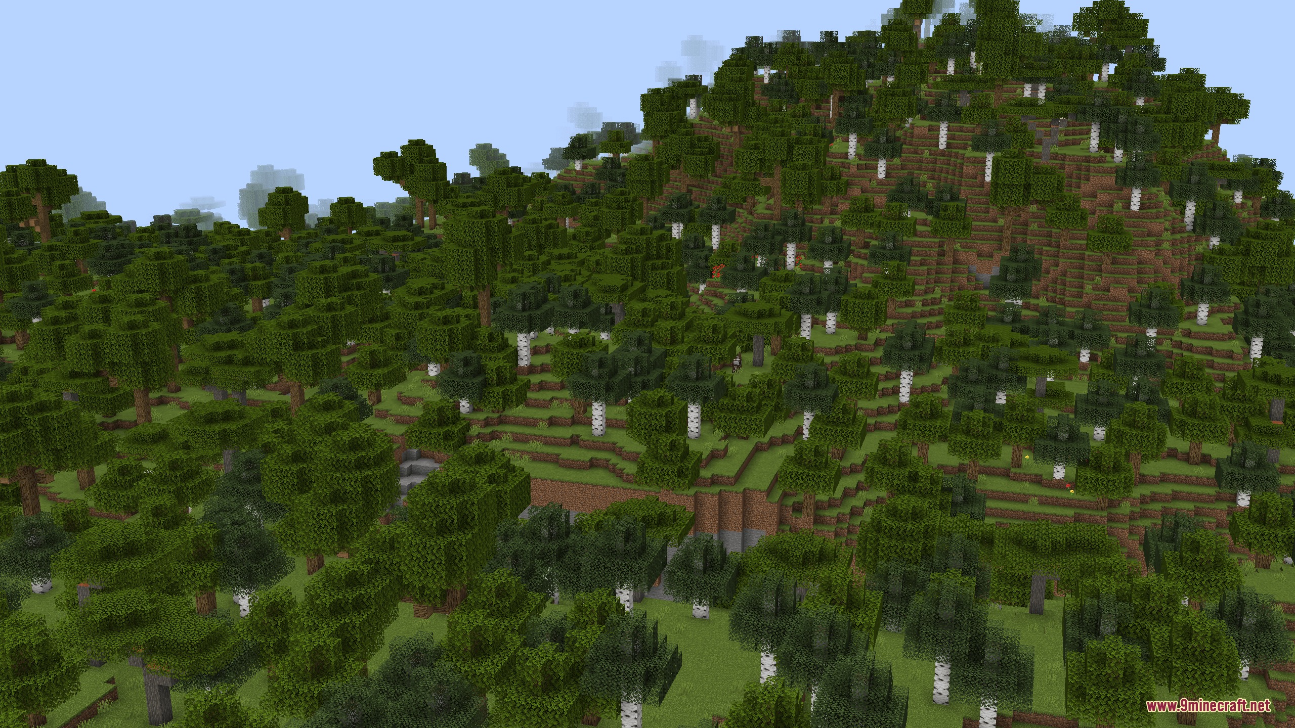 Horizon Tapestry Mod Screenshot 2 A windswept birch forest biome with many trees on a grassy hill