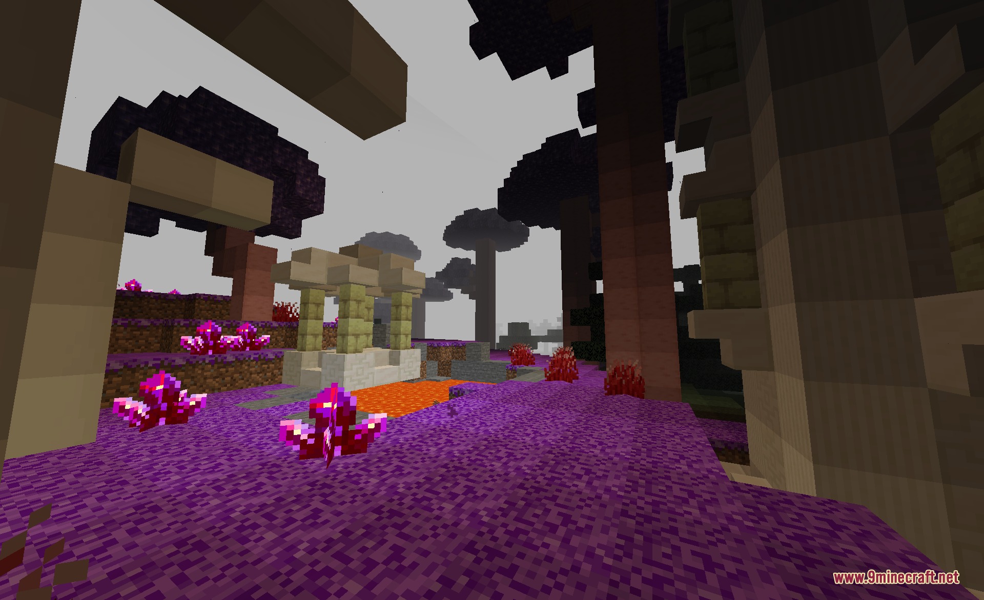 A vibrant purple forest with glowing crystals and strange alien trees