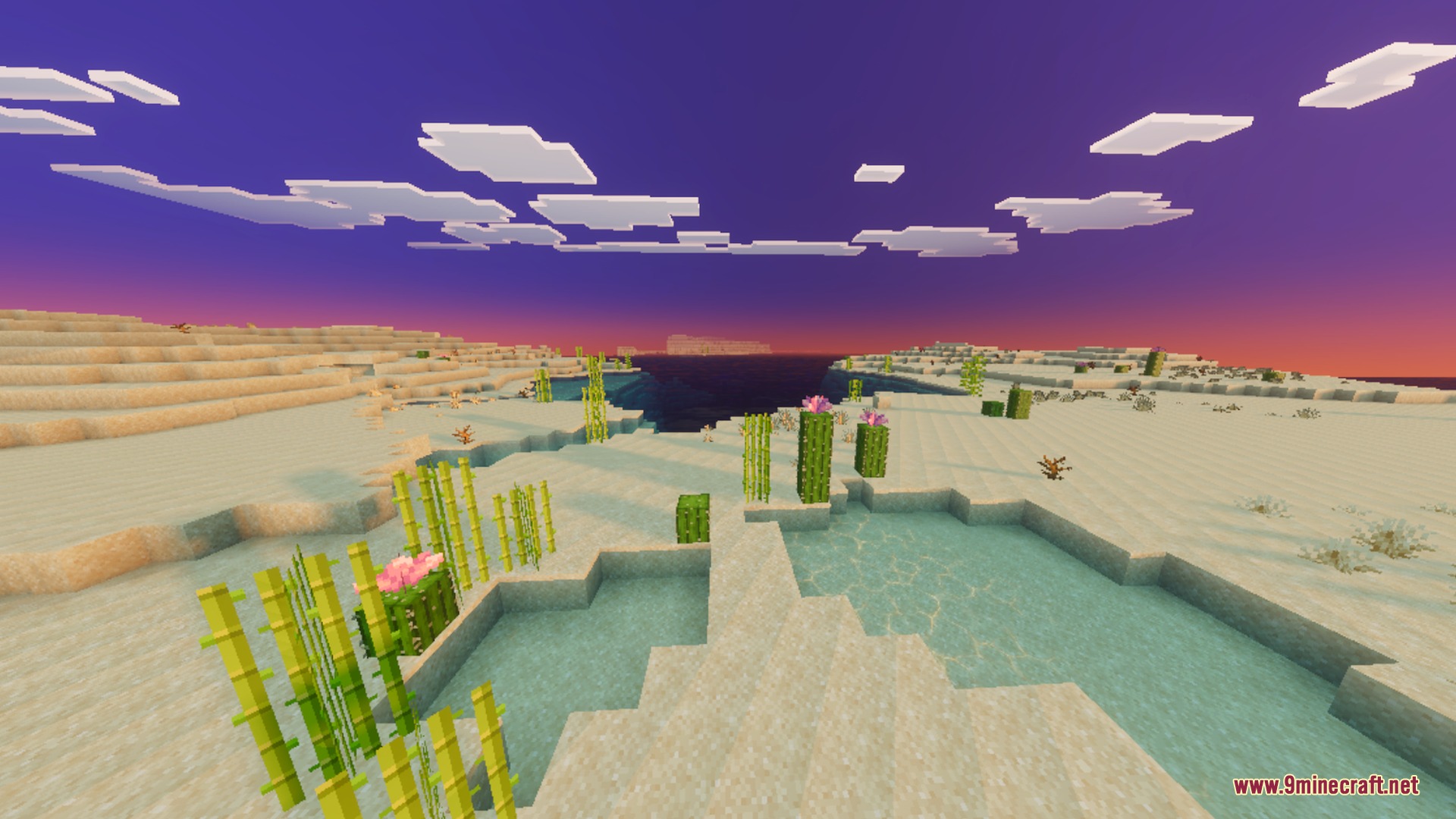 Desert landscape with sugar cane and cacti under a vibrant purple sunset