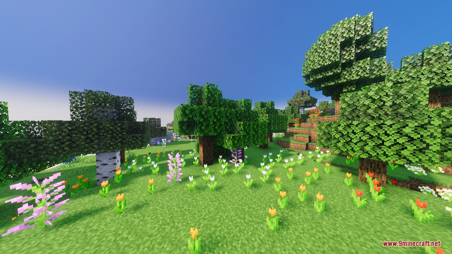 Colorful flowers bloom in a sunny meadow with vibrant green trees