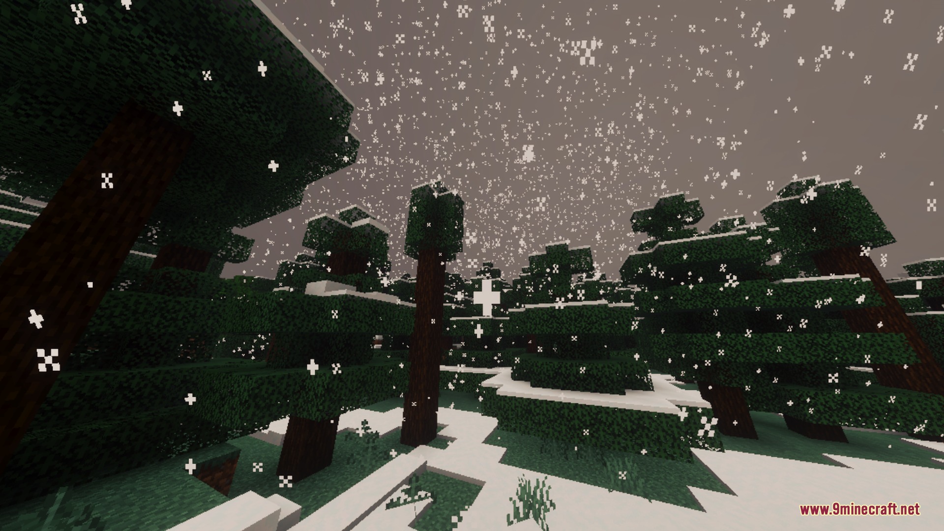 Snowflakes falling over a dense spruce forest covered in white snow