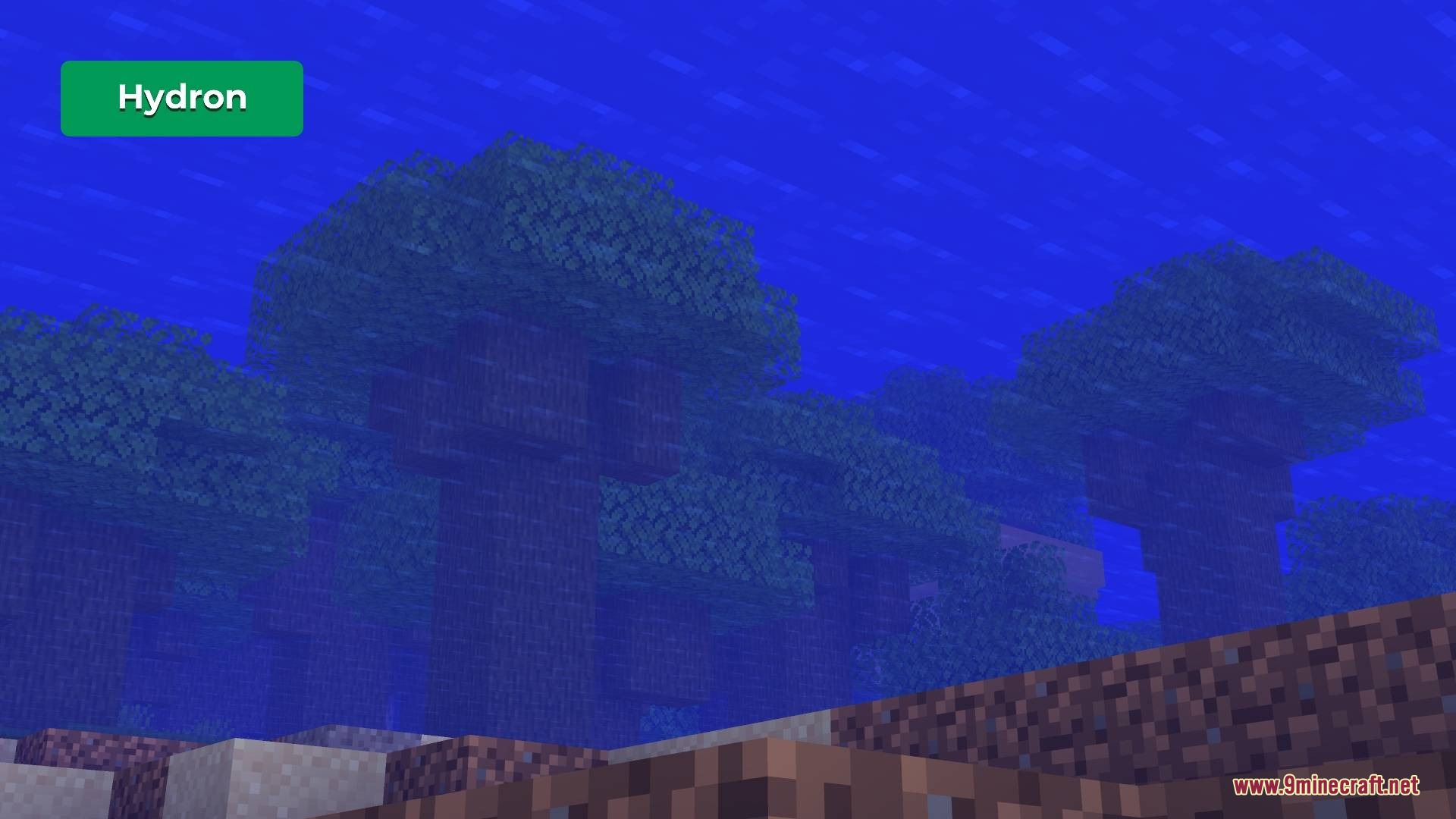 Hydron Clear Water Resource Pack Screenshot 2 Clear underwater view showing distant trees and terrain with Hydron resource pack