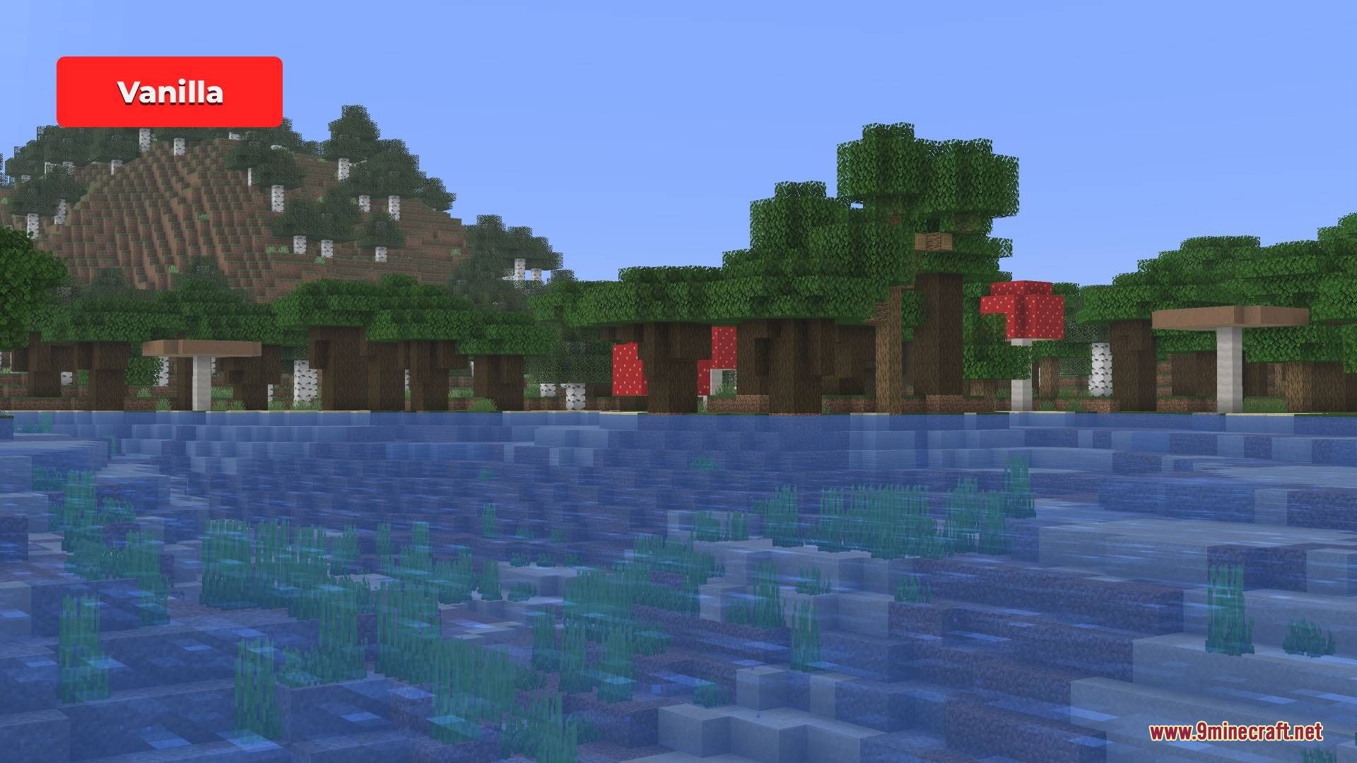 Hydron Clear Water Resource Pack Screenshot 3 A Minecraft landscape featuring murky blue water and a dense forest background