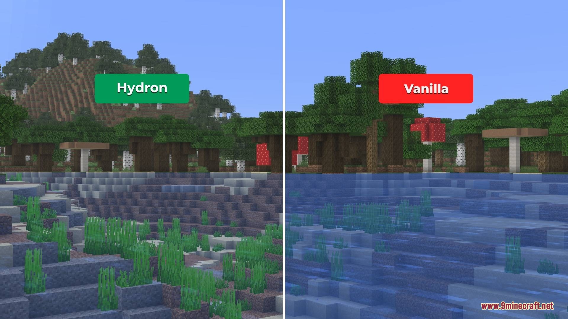 Hydron Clear Water Resource Pack Screenshot 5 A side by side comparison of clear water and murky vanilla Minecraft water