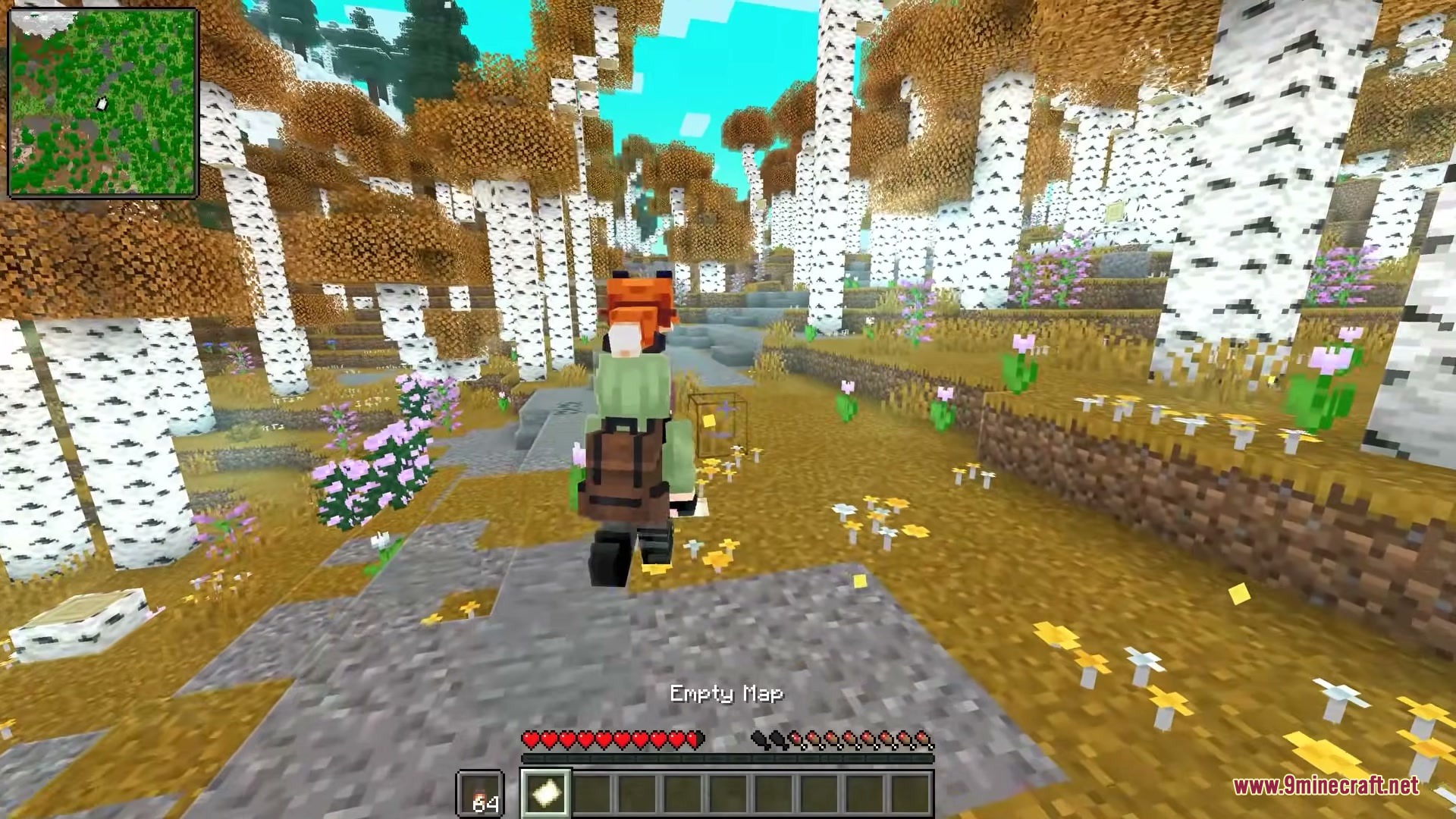 Immersive Minimaps Mod Screenshot 9 A player explores a birch forest using the Immersive Minimaps radar feature