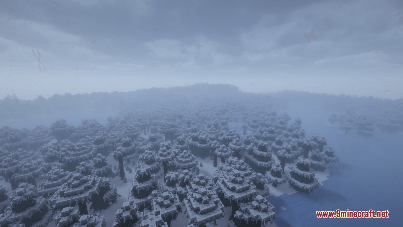 A dense forest of bushy trees covered in snow under a thick fog