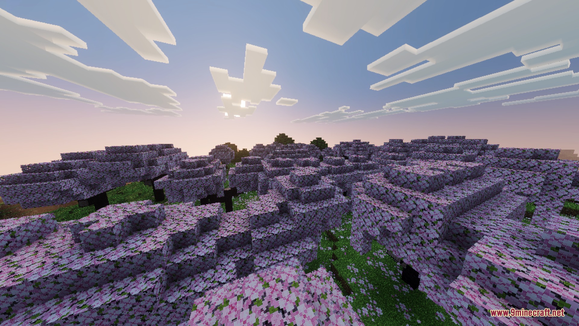 Lush cherry blossom forest with vibrant colors and enhanced lighting in Minecraft