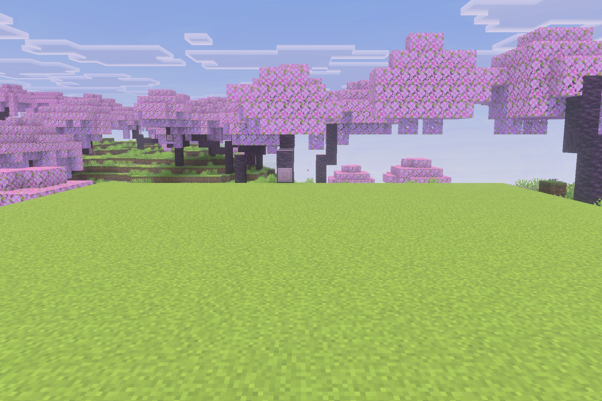 Immortal Dogs Addon Screenshot 3 A beautiful cherry blossom forest overlooking a flat green grassy field