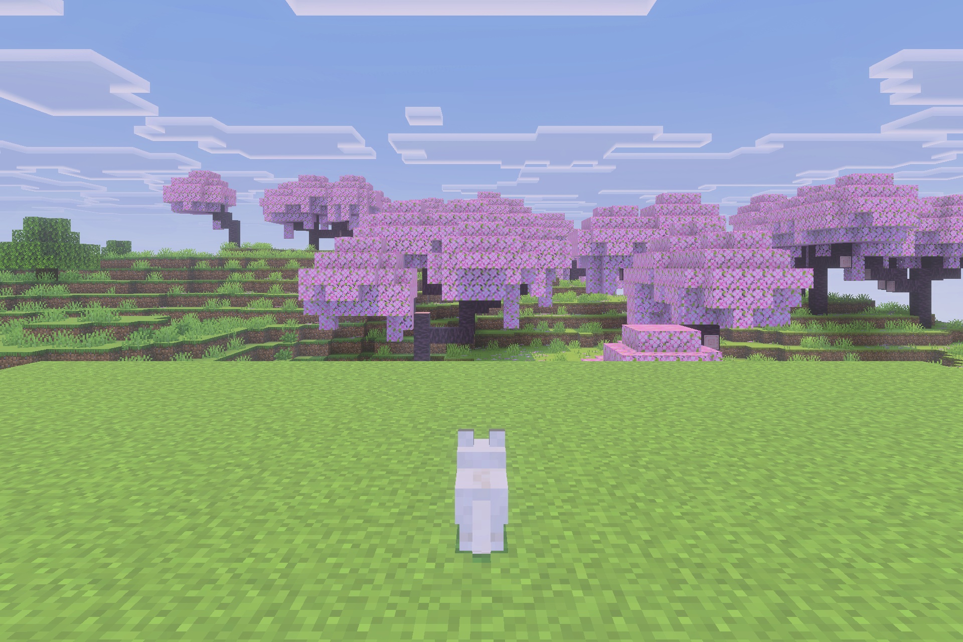 Immortal Dogs Addon Screenshot 4 A white tamed wolf standing in a field near cherry blossom trees