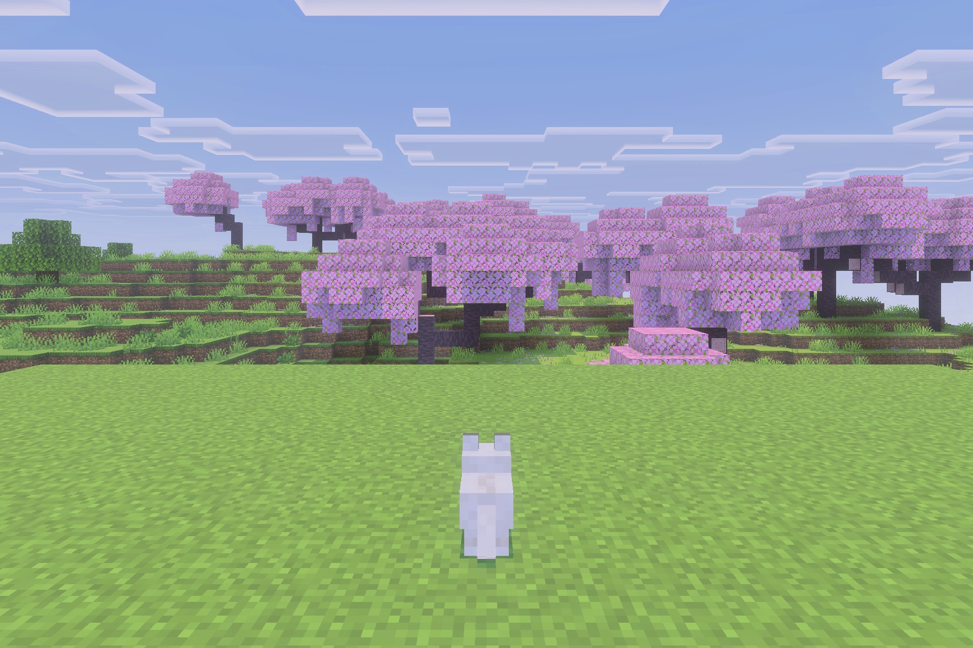 Immortal Dogs Addon Screenshot 5 A white wolf sits peacefully in a field with cherry blossom trees