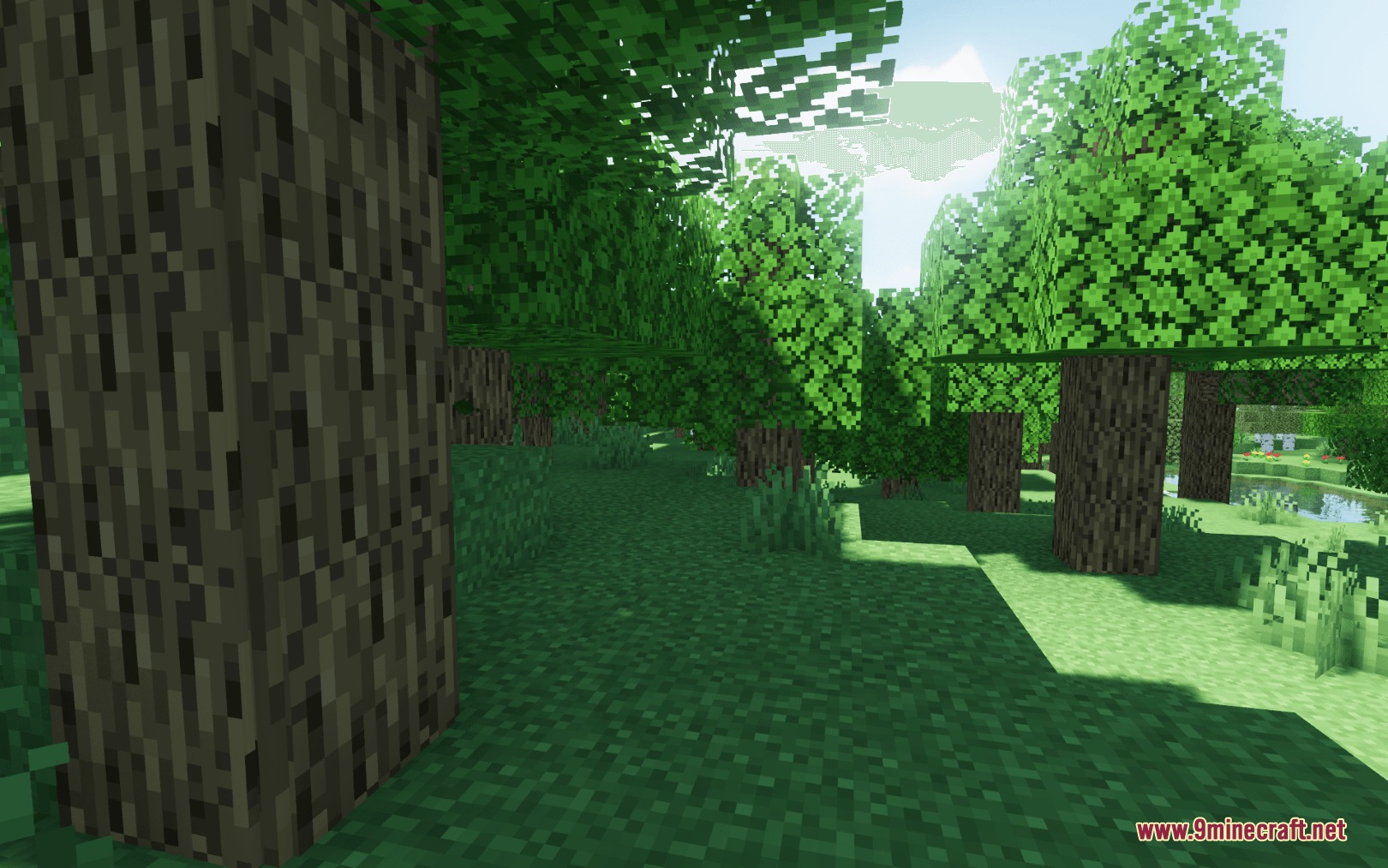 Improved Logs Resource Pack Screenshot 4 Improved Logs Resource Pack Screenshot 4