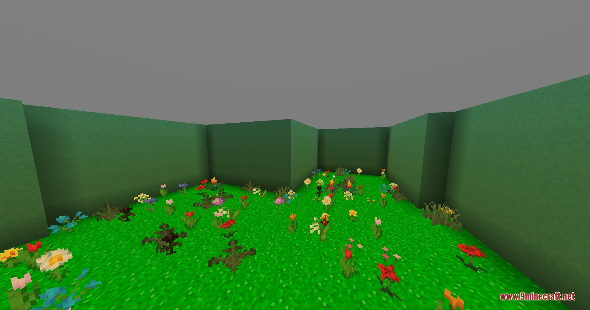 Infinite Yellow Descent Mod Screenshot 2 Colorful flowers blooming inside a green walled room with bright grass floors