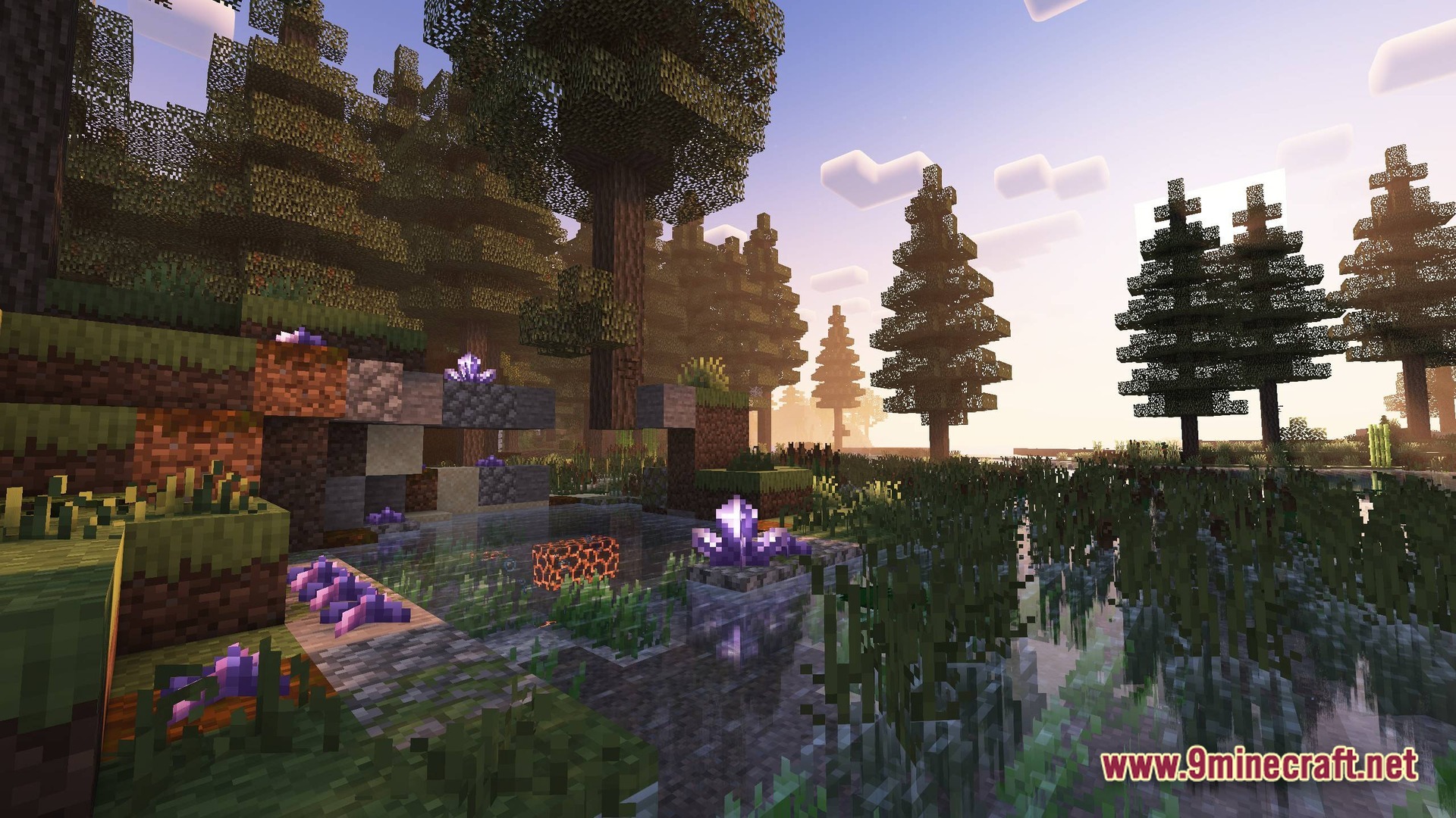 Purple crystals grow near a small pond within a dense coniferous forest at sunrise