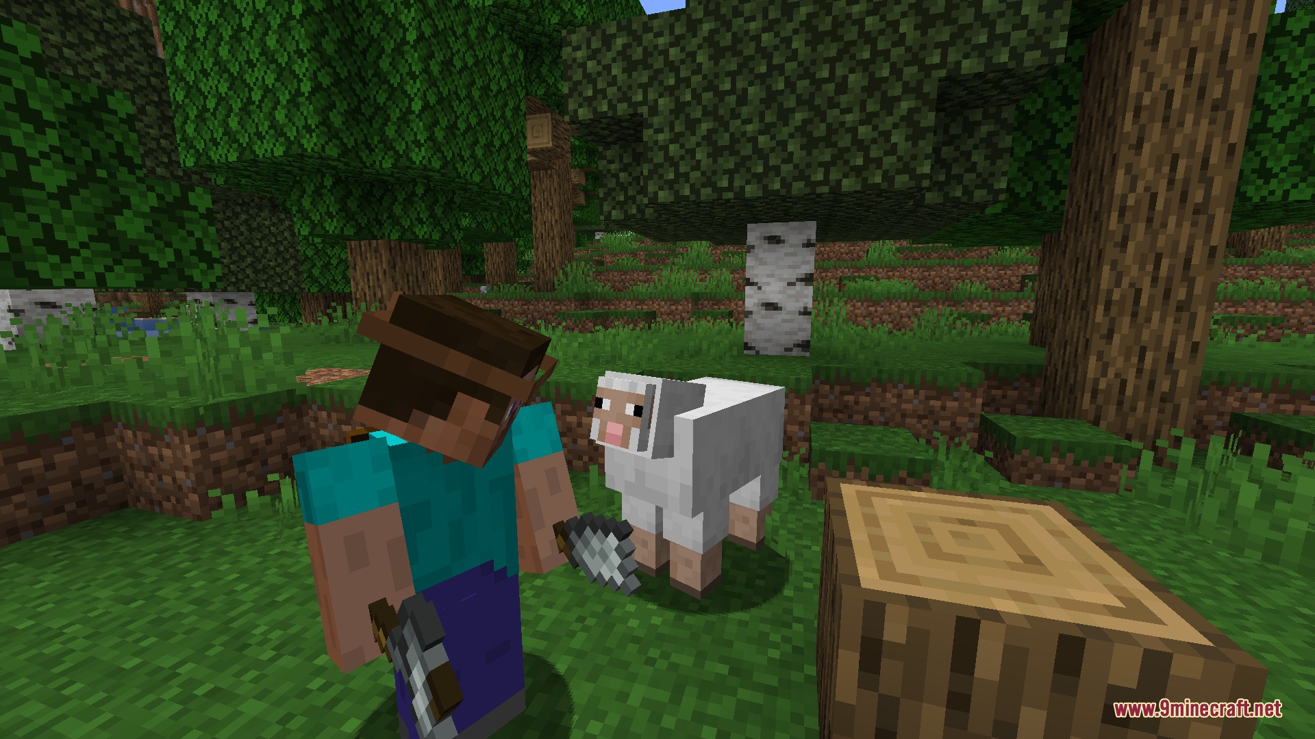 JMG's Better Than Ever BTE Mod Screenshot 2 A player holding shears stands near a white sheep in a forest