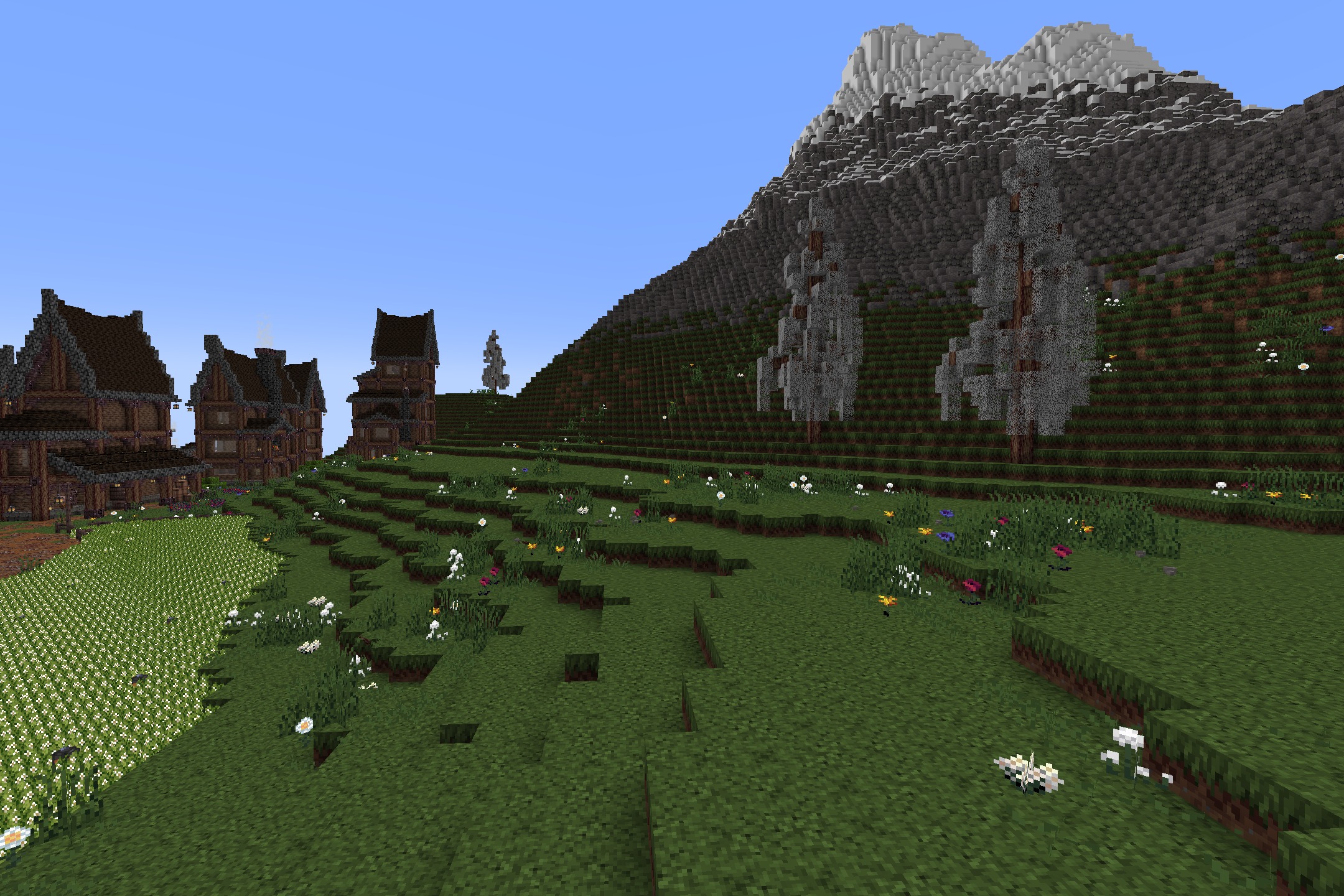 KDCraft~Fantastic Journey Resource Pack Screenshot 2 A field of white flowers near medieval houses and a tall mountain