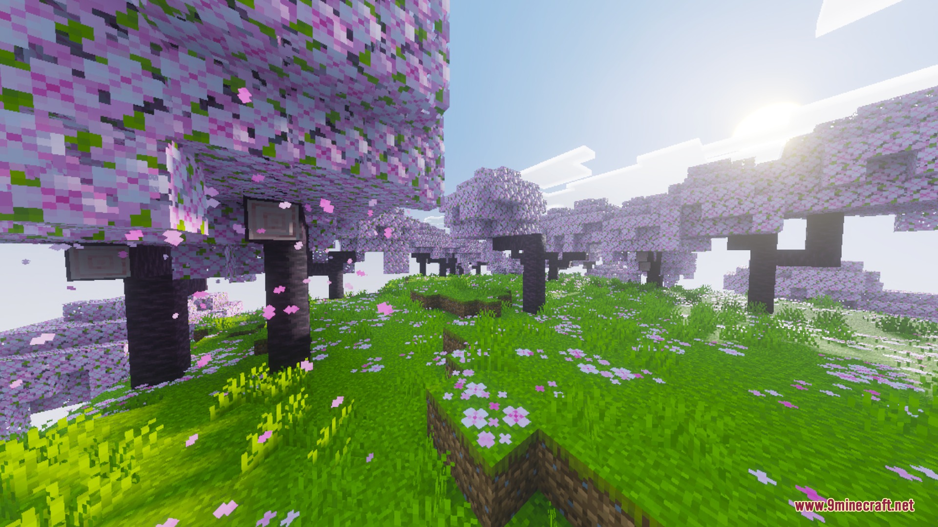 Kinetix Visuals Shader Screenshot 7 Vibrant cherry blossom grove with pink leaves and realistic sunlight effects