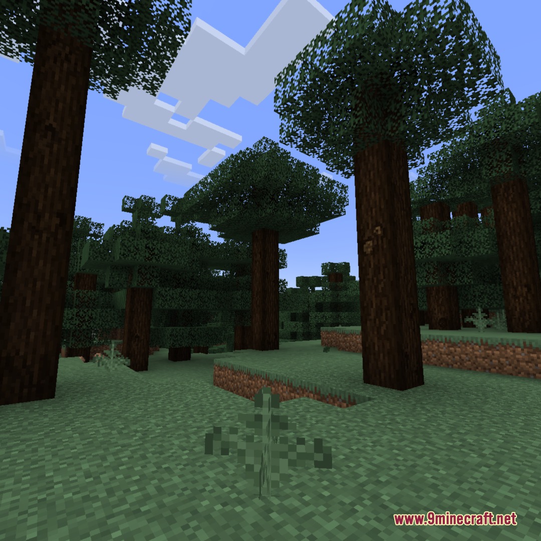 Tall trees in a dense forest with realistic bark textures and green leaves